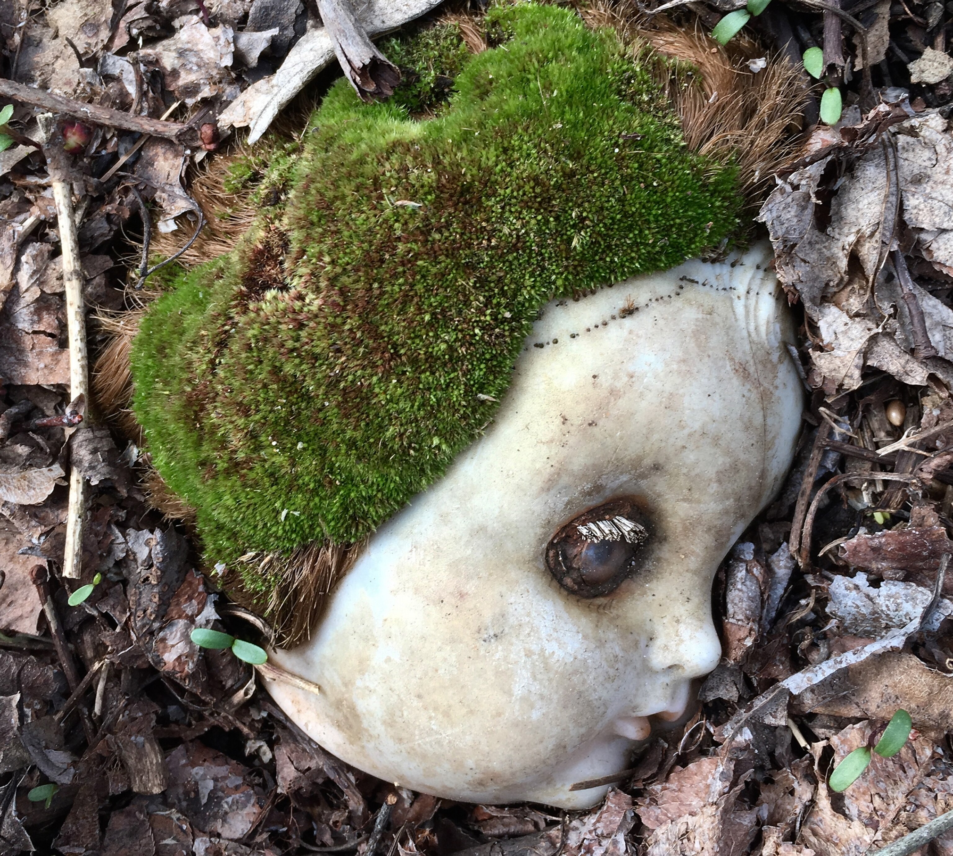 plastic doll head with green moss covering its hair.