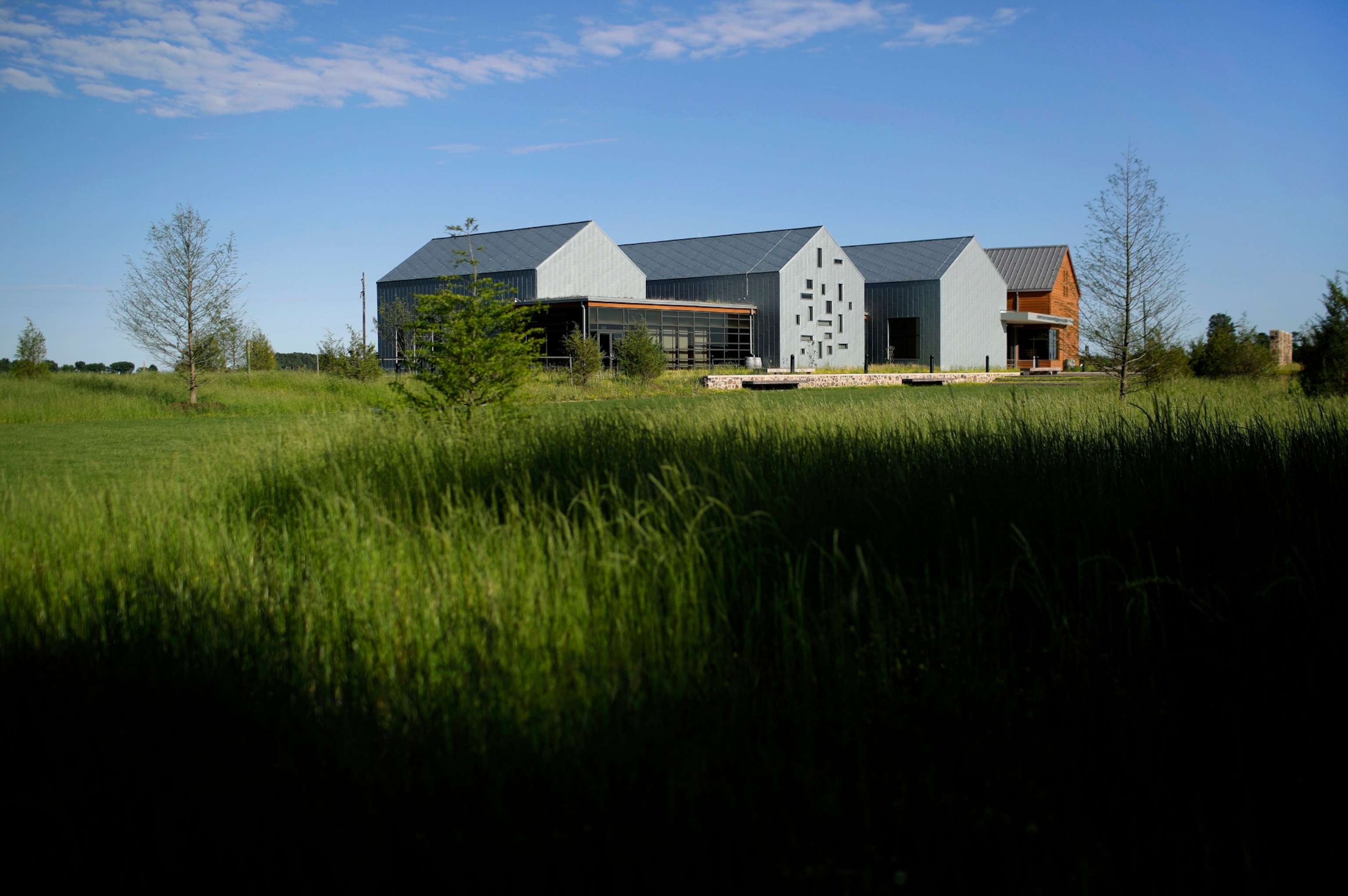 a group of buildings surrounded by