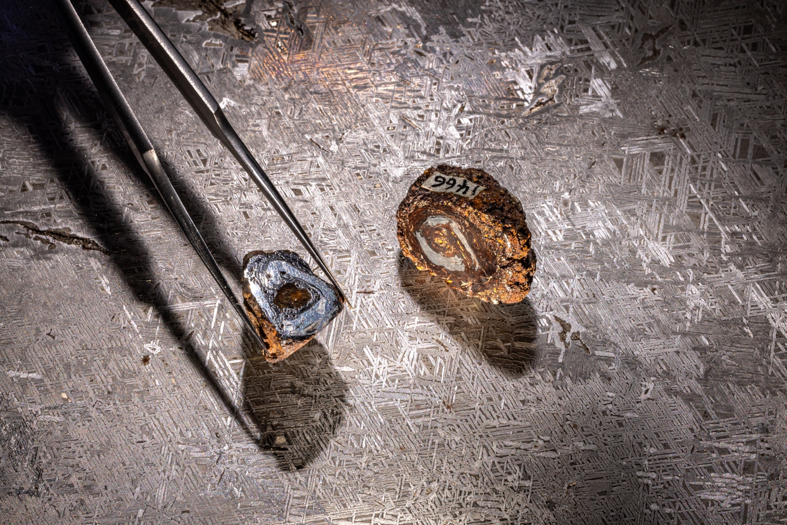 The tweezers holding a shiny bead and another one with the museum tag.