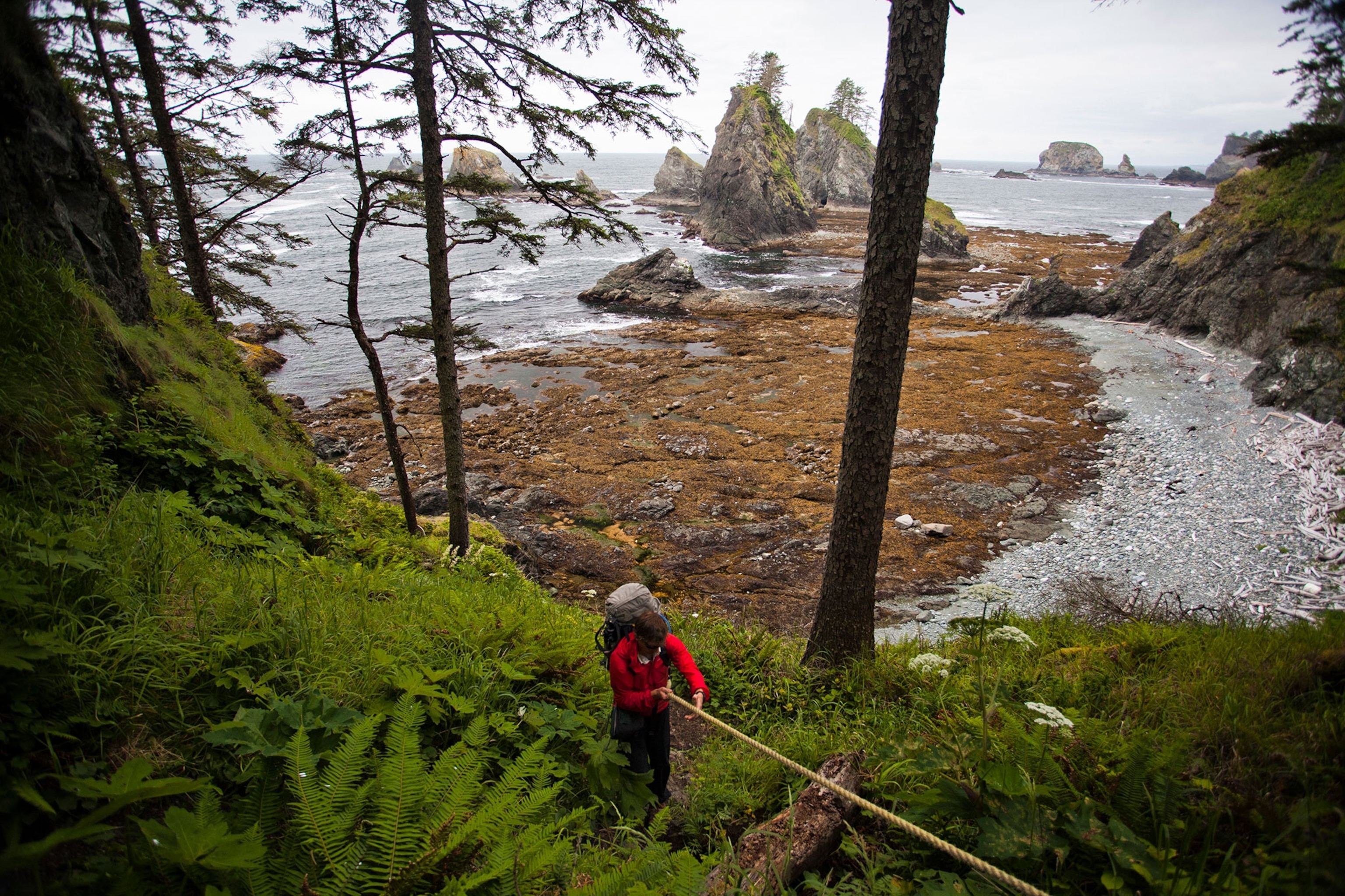 a hiker in Olympic National Park, Washington