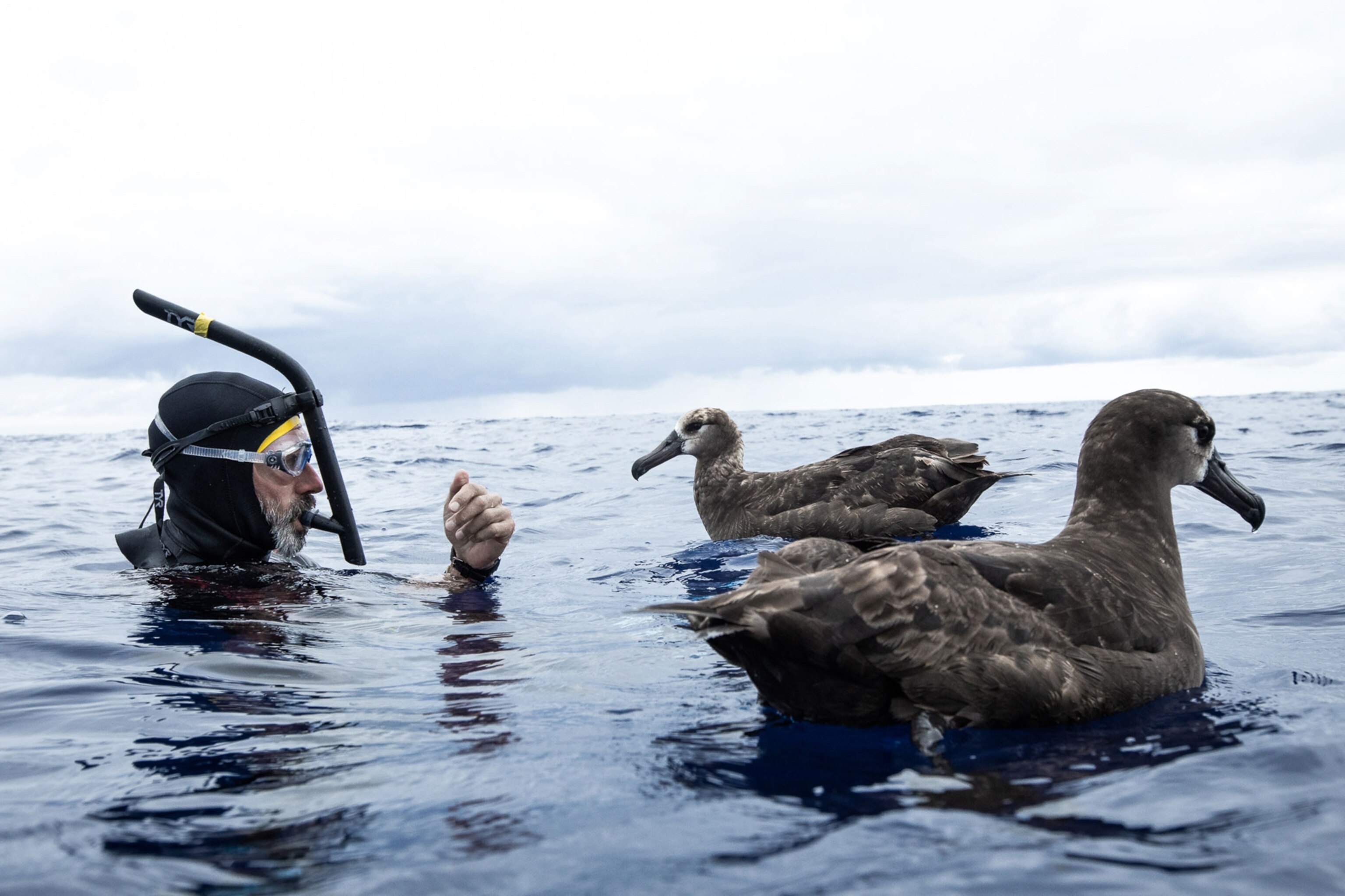the Great Pacific Garbage Patch