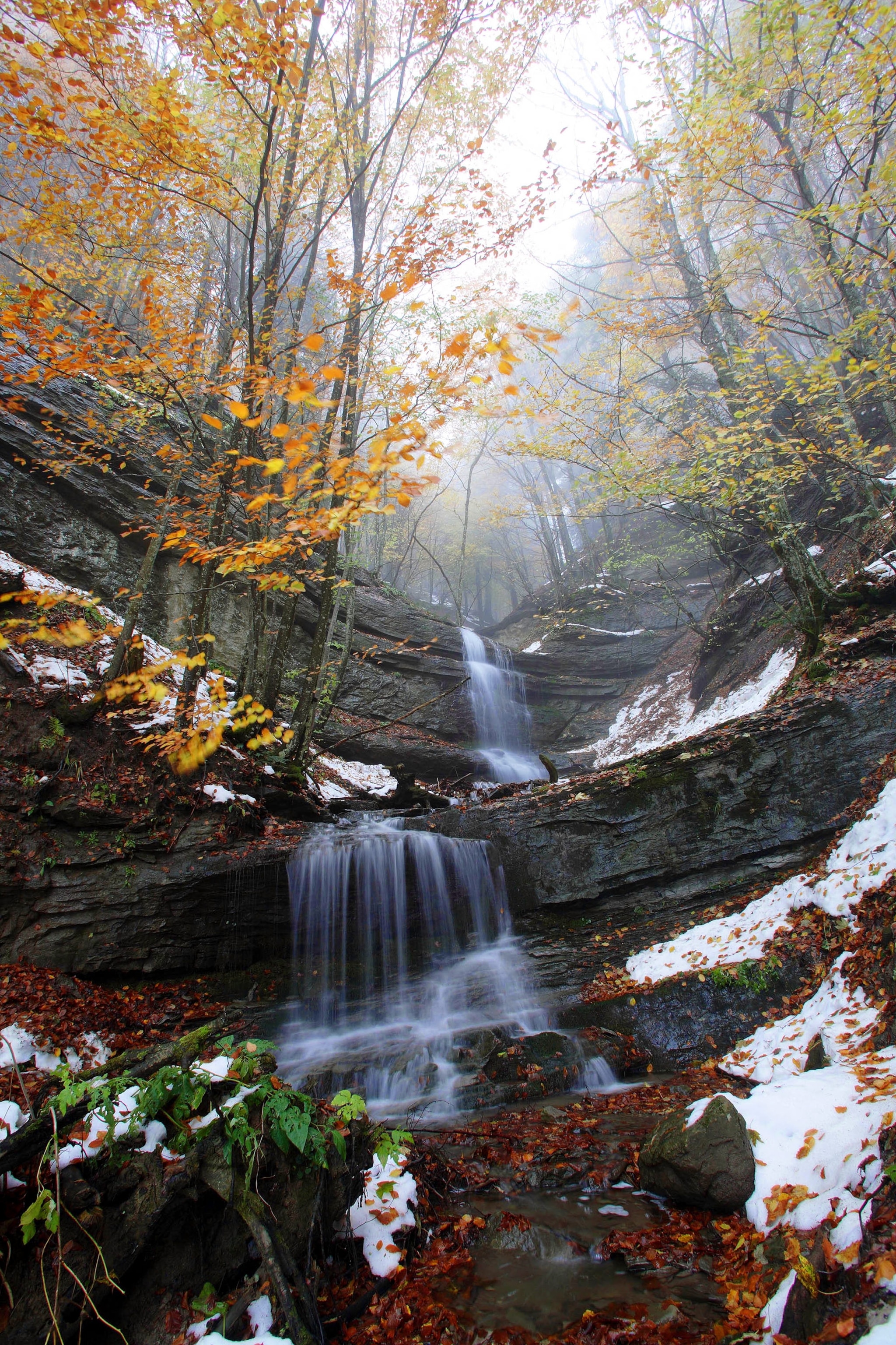 Casentinesi Naturale Reserves - Component Sasso Fratino