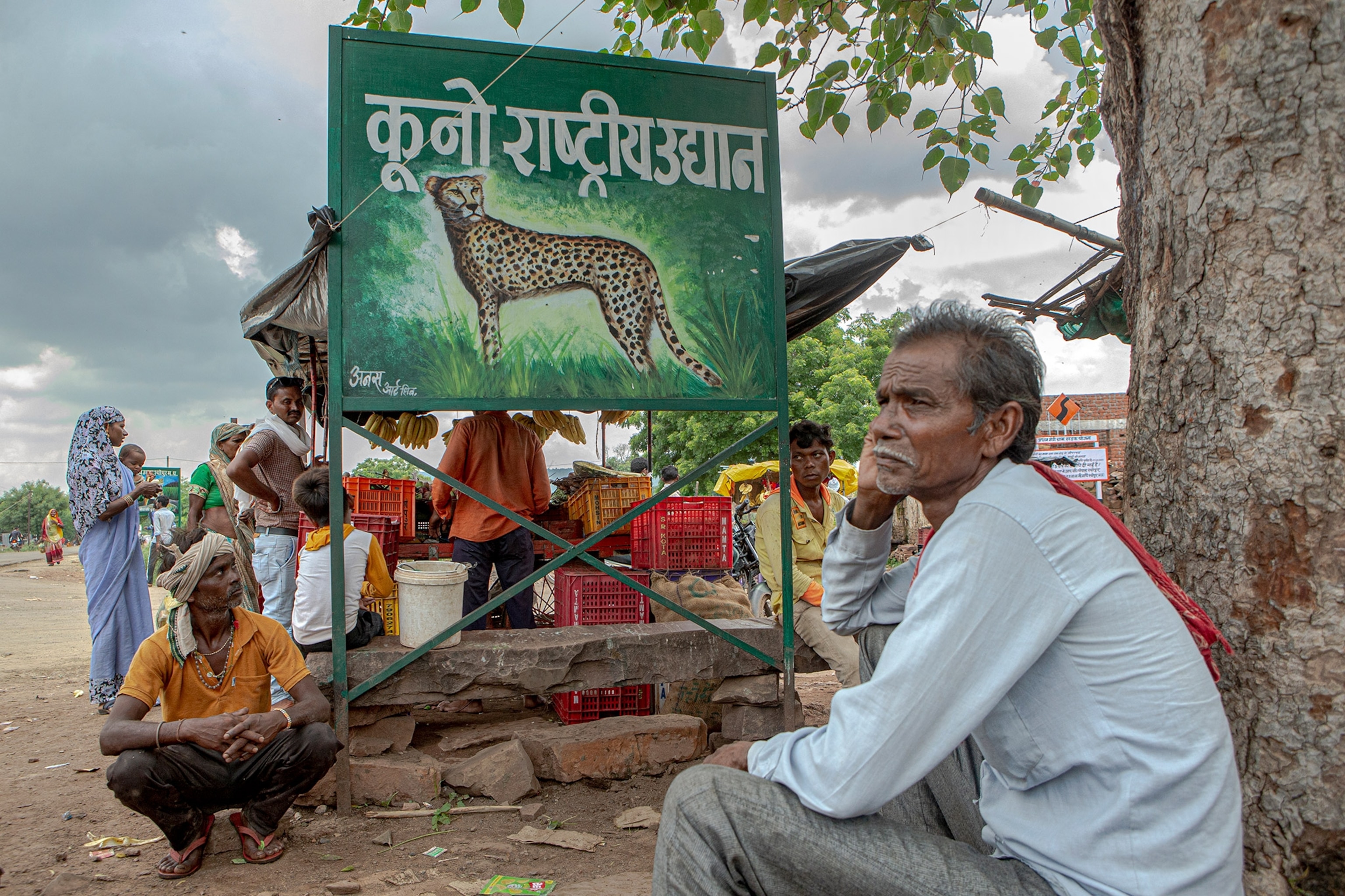 A green bilboard with a Cheetah illustrated on it as people sit around it.
