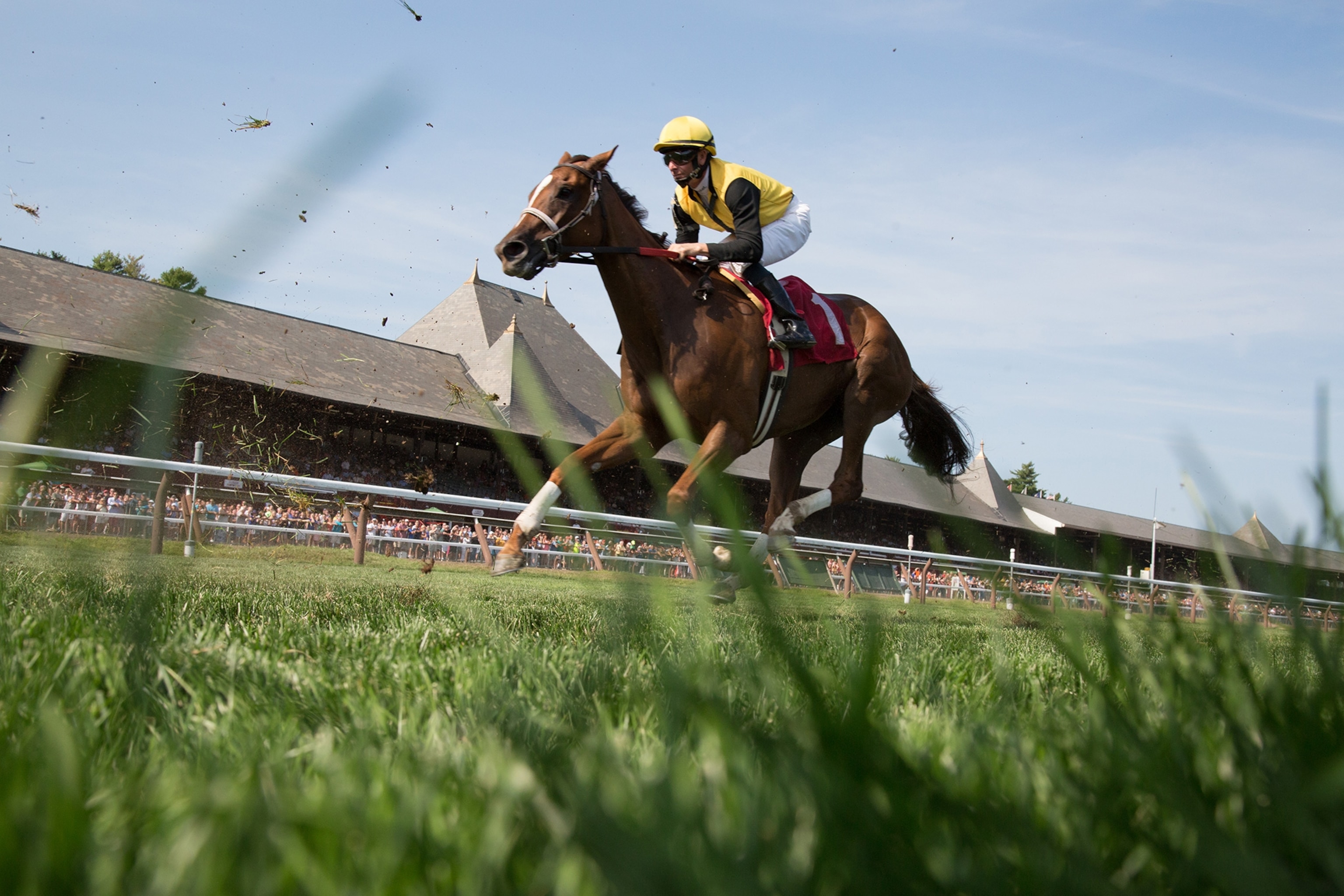 a horse racing at Saratoga Race Course