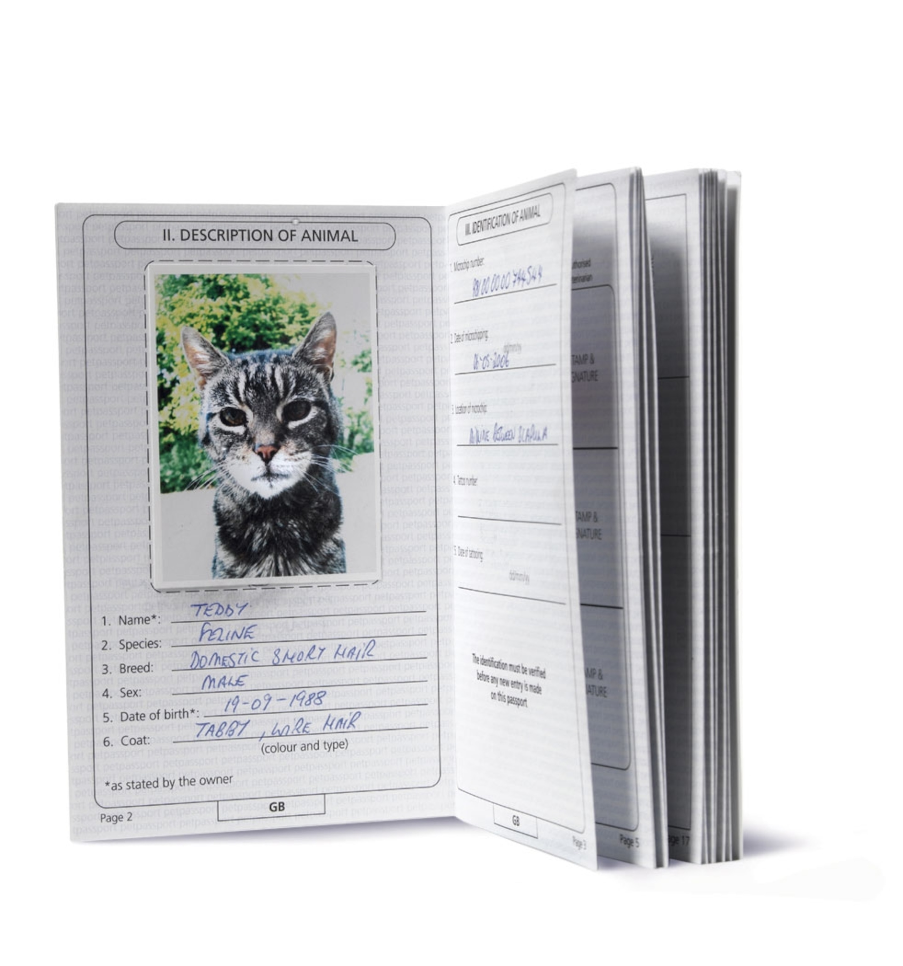 a pet passport