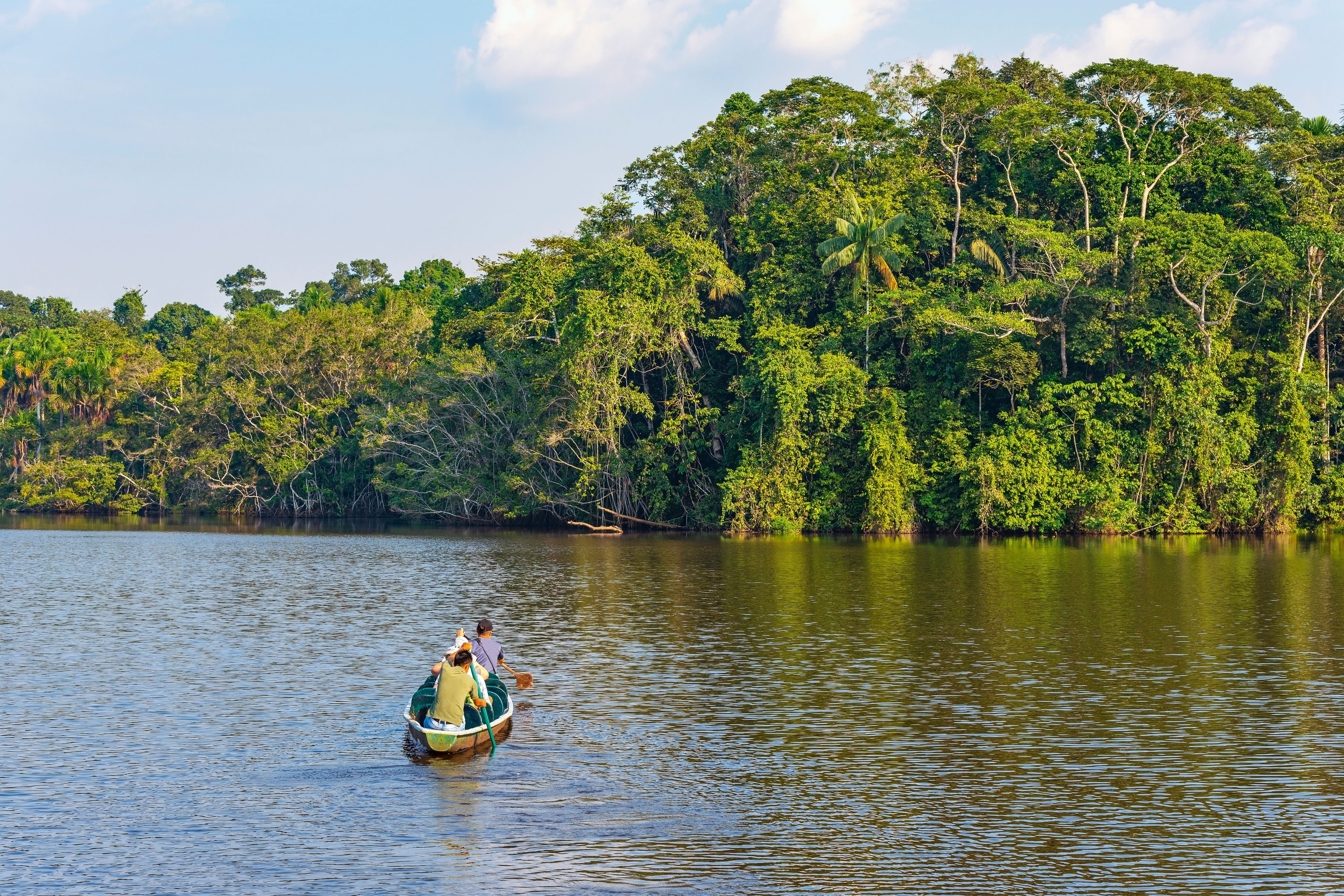 A canoe tour through the waters of the Yasuní National Park.