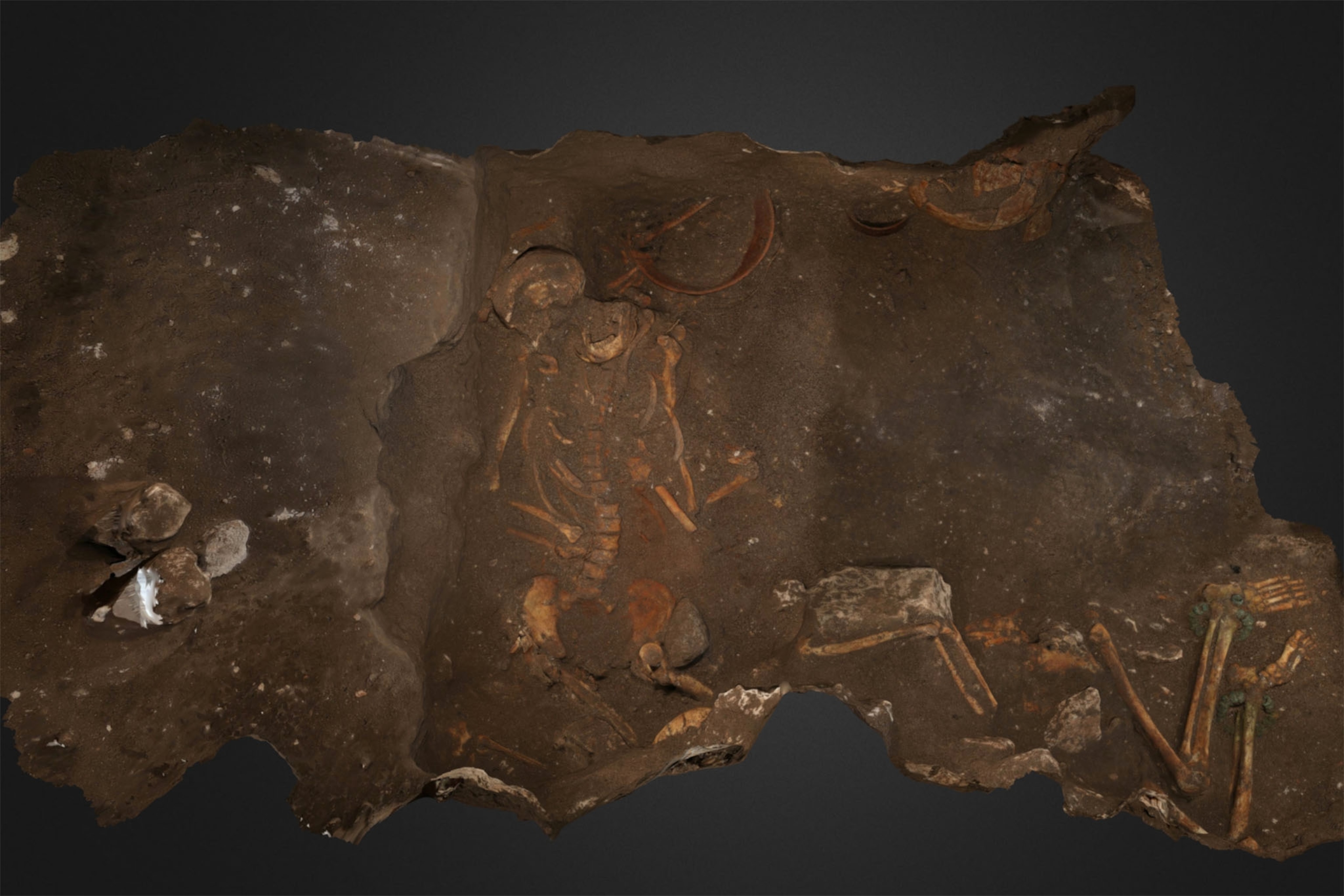 Megiddo burial