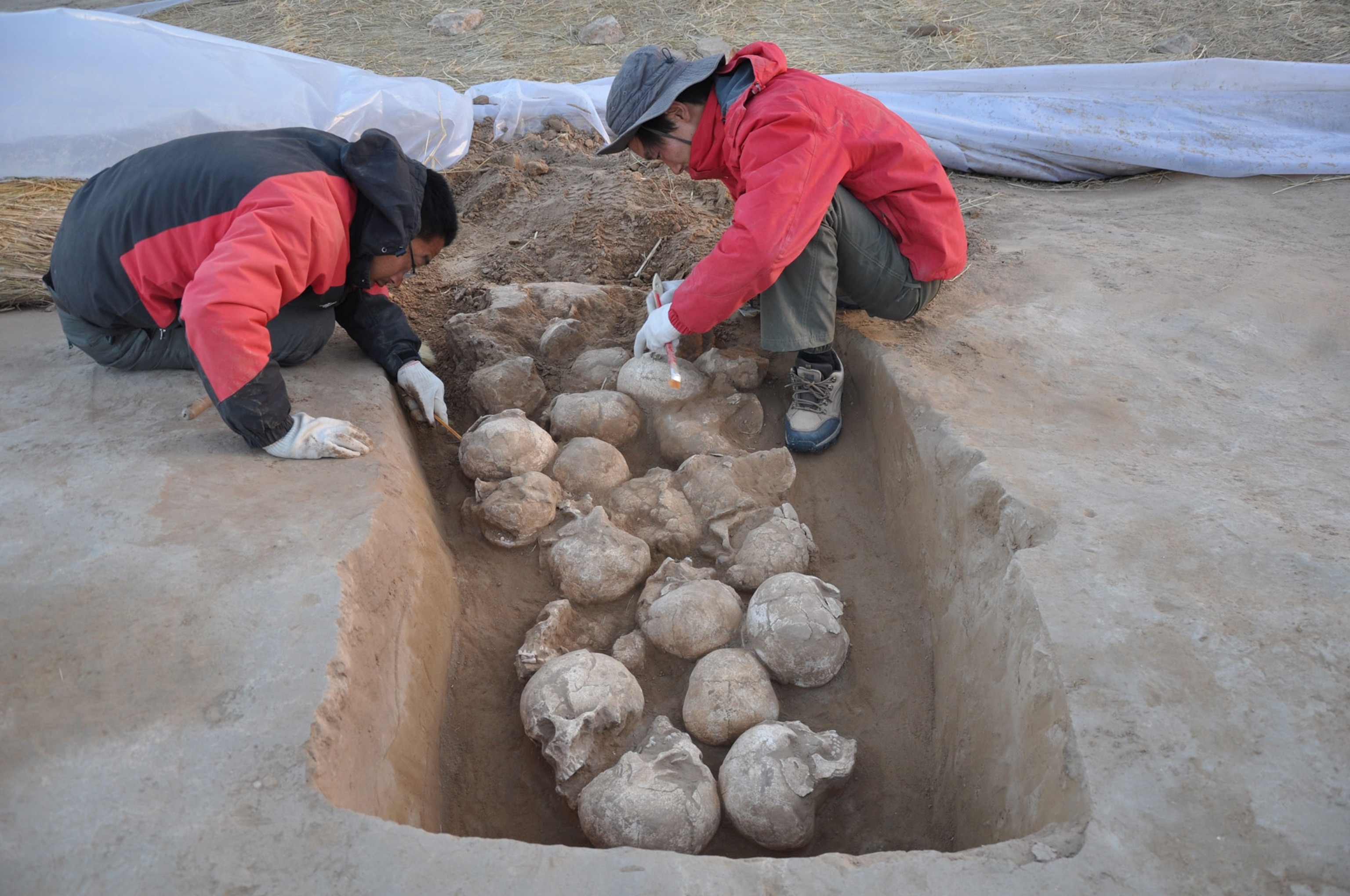 archaeologists uncovering skulls