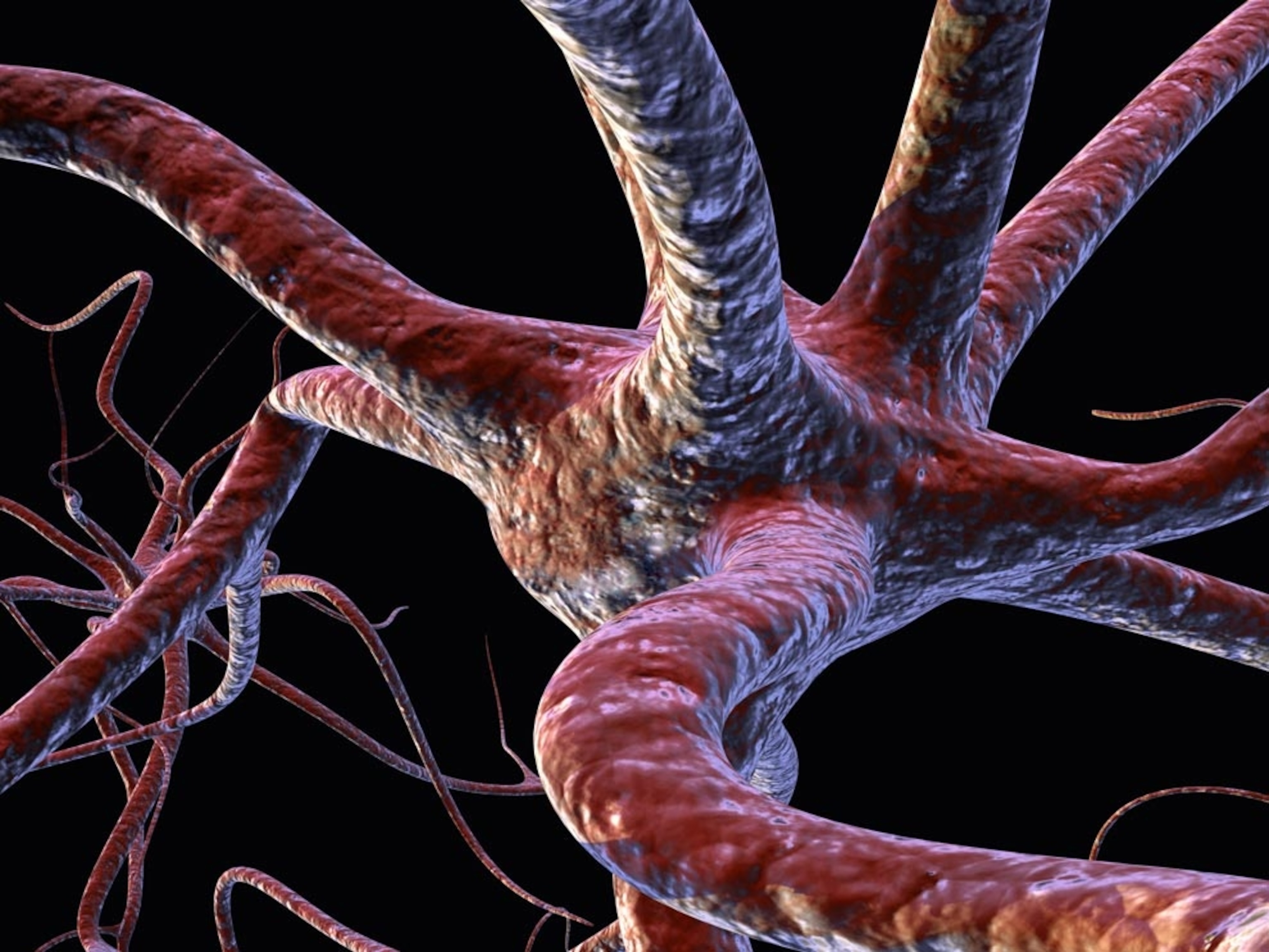 Illustration: Neurons connect in human brain