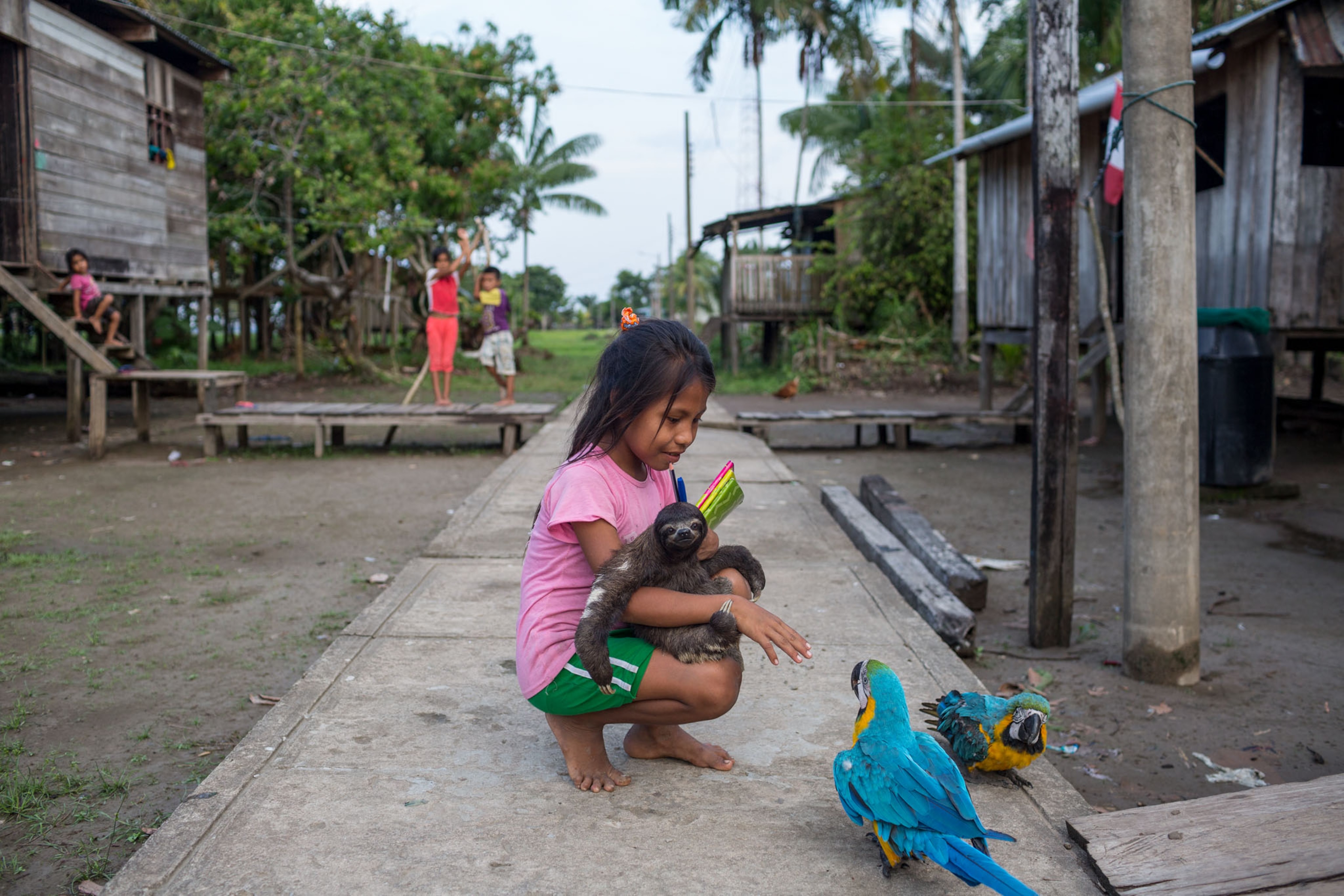 a girl engaging with animals