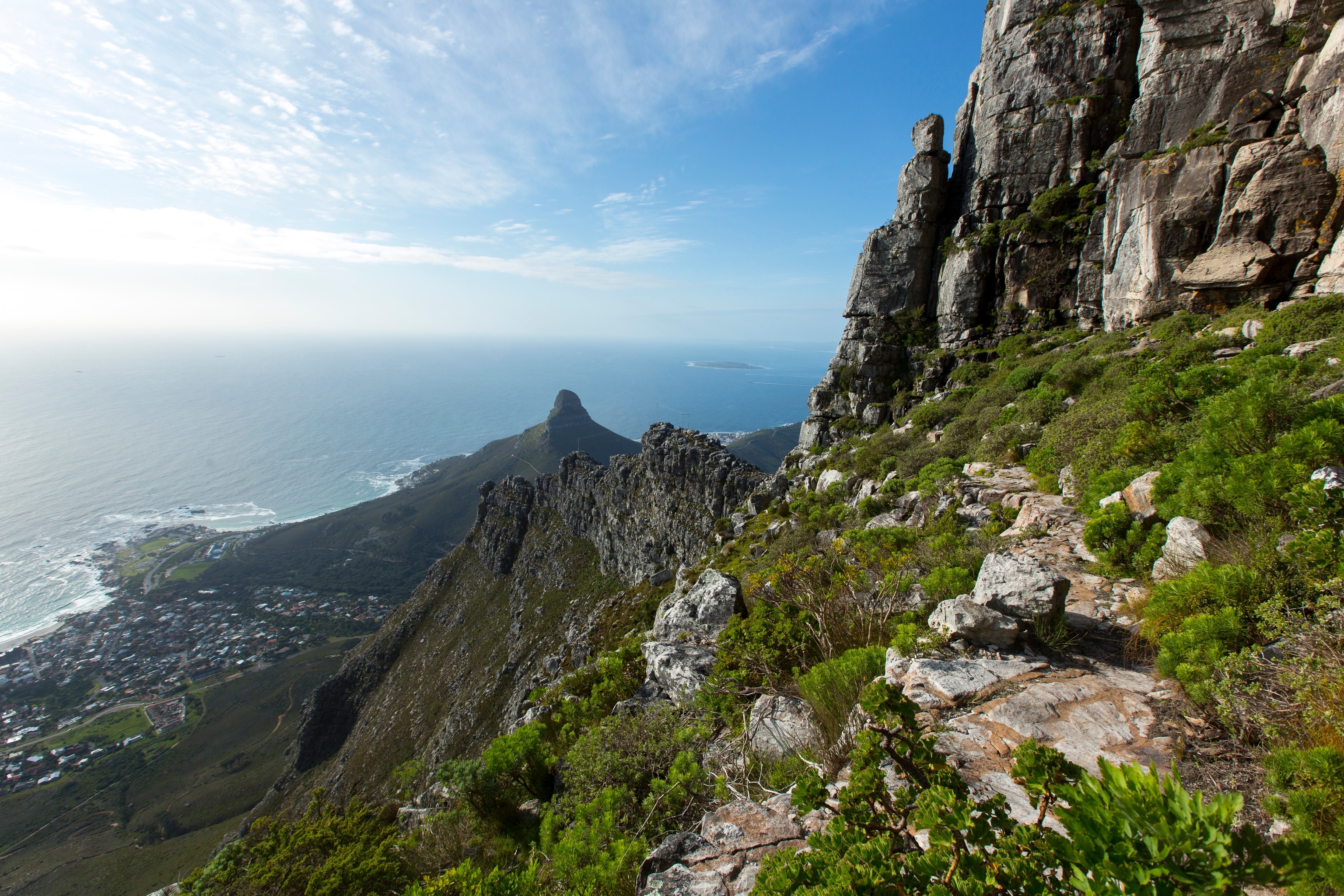Table Mountain National Park, Cape Town, Western Cape, South Africa.