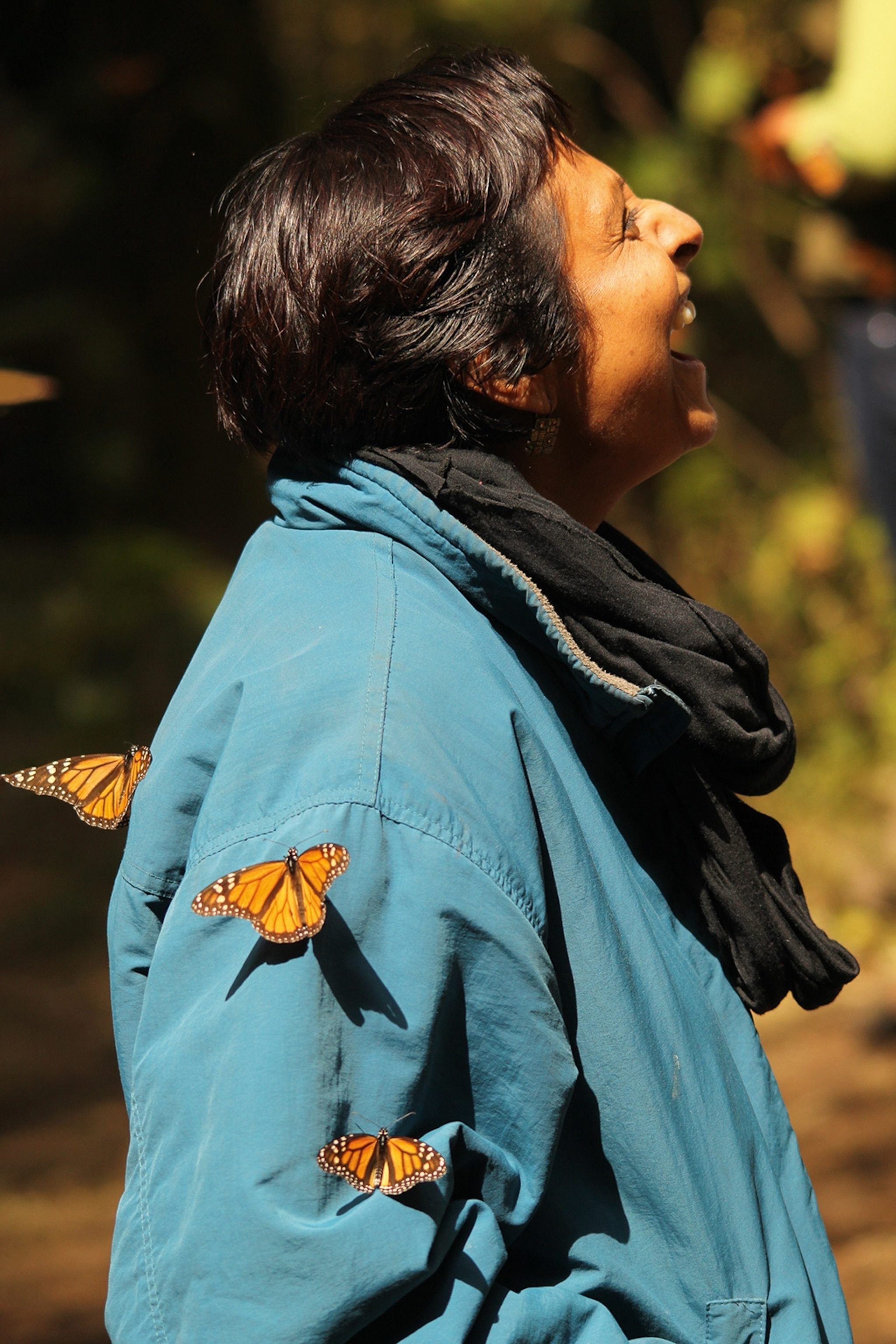 A guide in the Monarch Butterfly Biosphere Reserve with monarch butterflies sitting on their shoulder