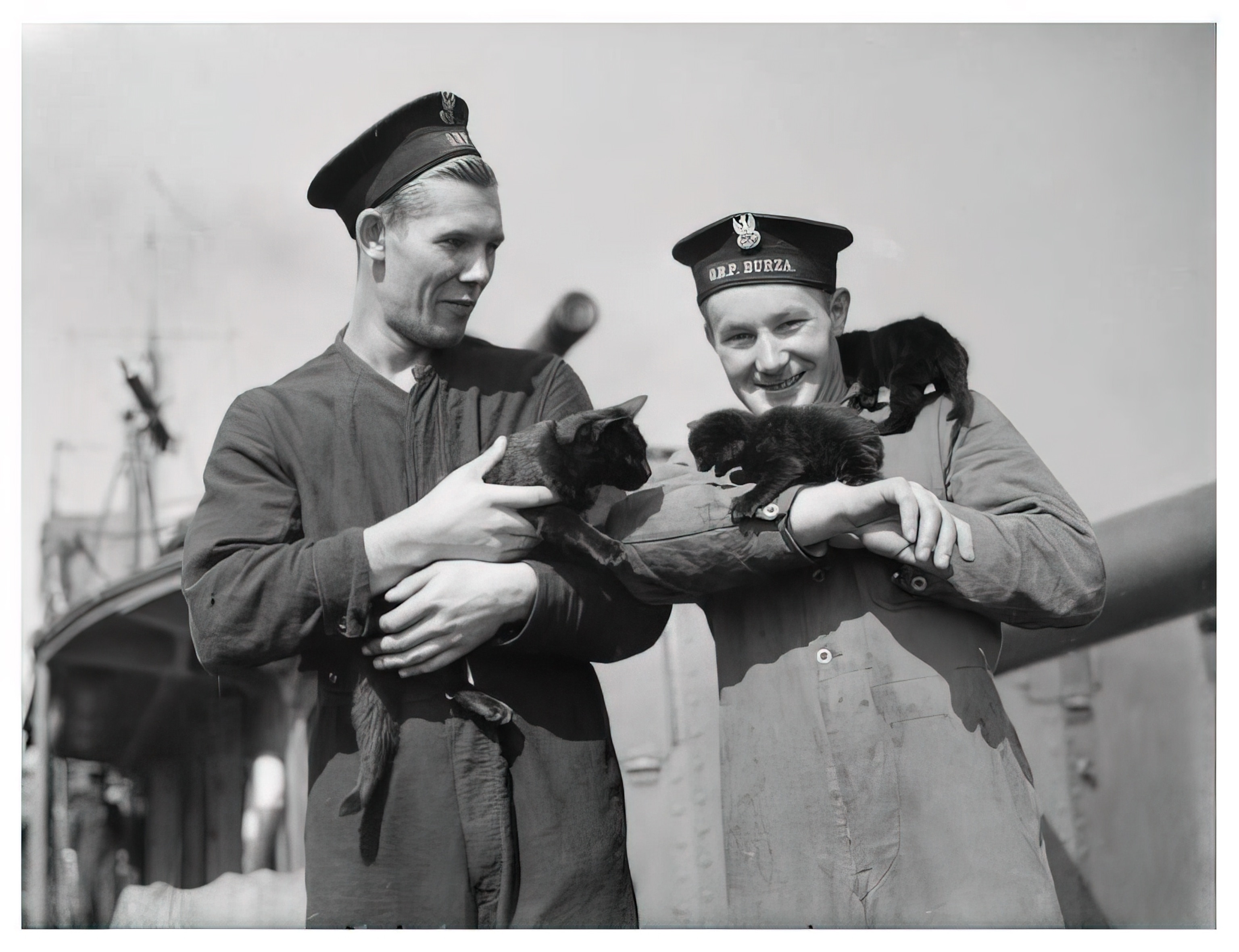 Photo of two sailors smiling with cats