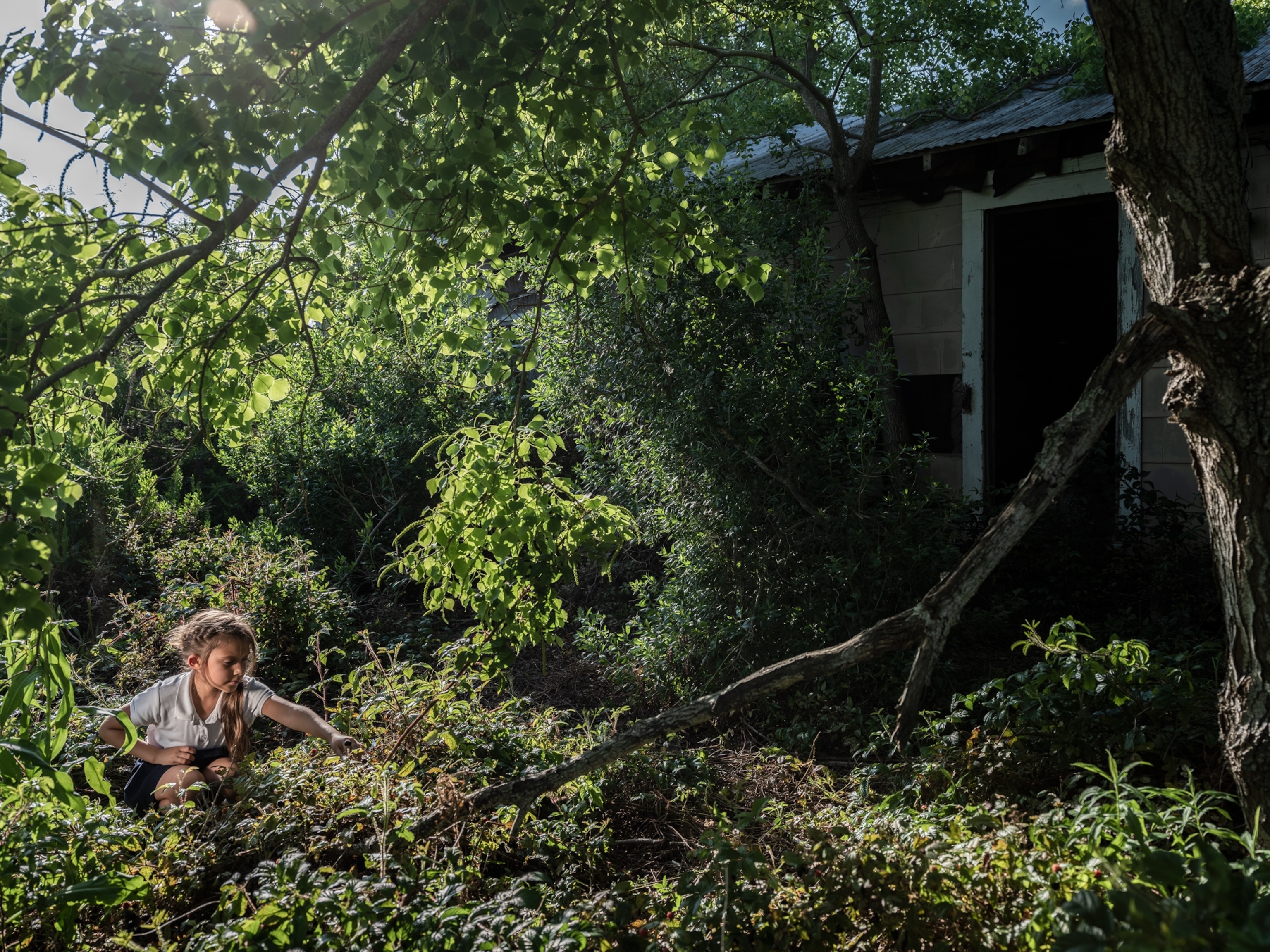 a girl picking berries near old shed in overgrown garden.