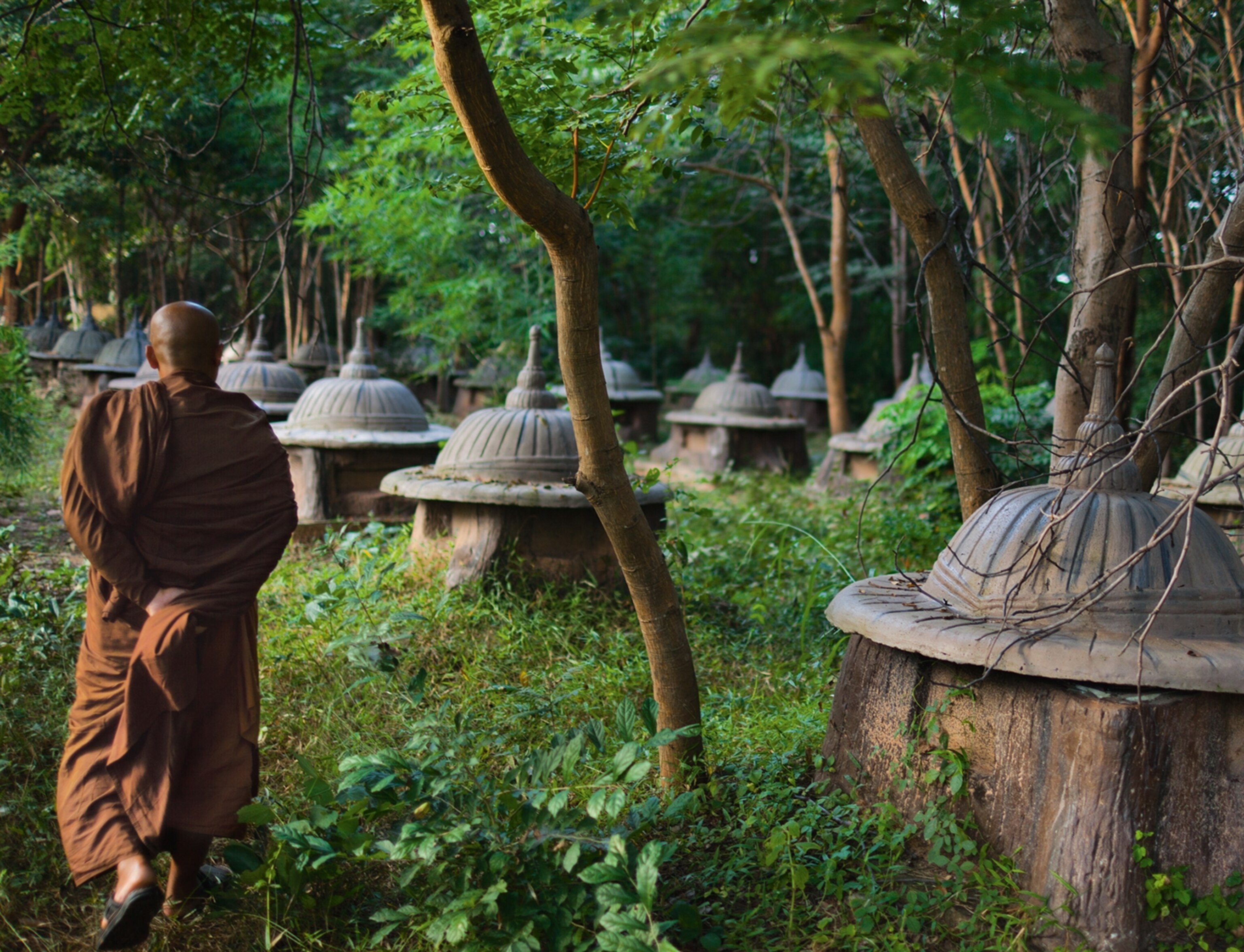 an elephant cemetery in Surin, Thailand