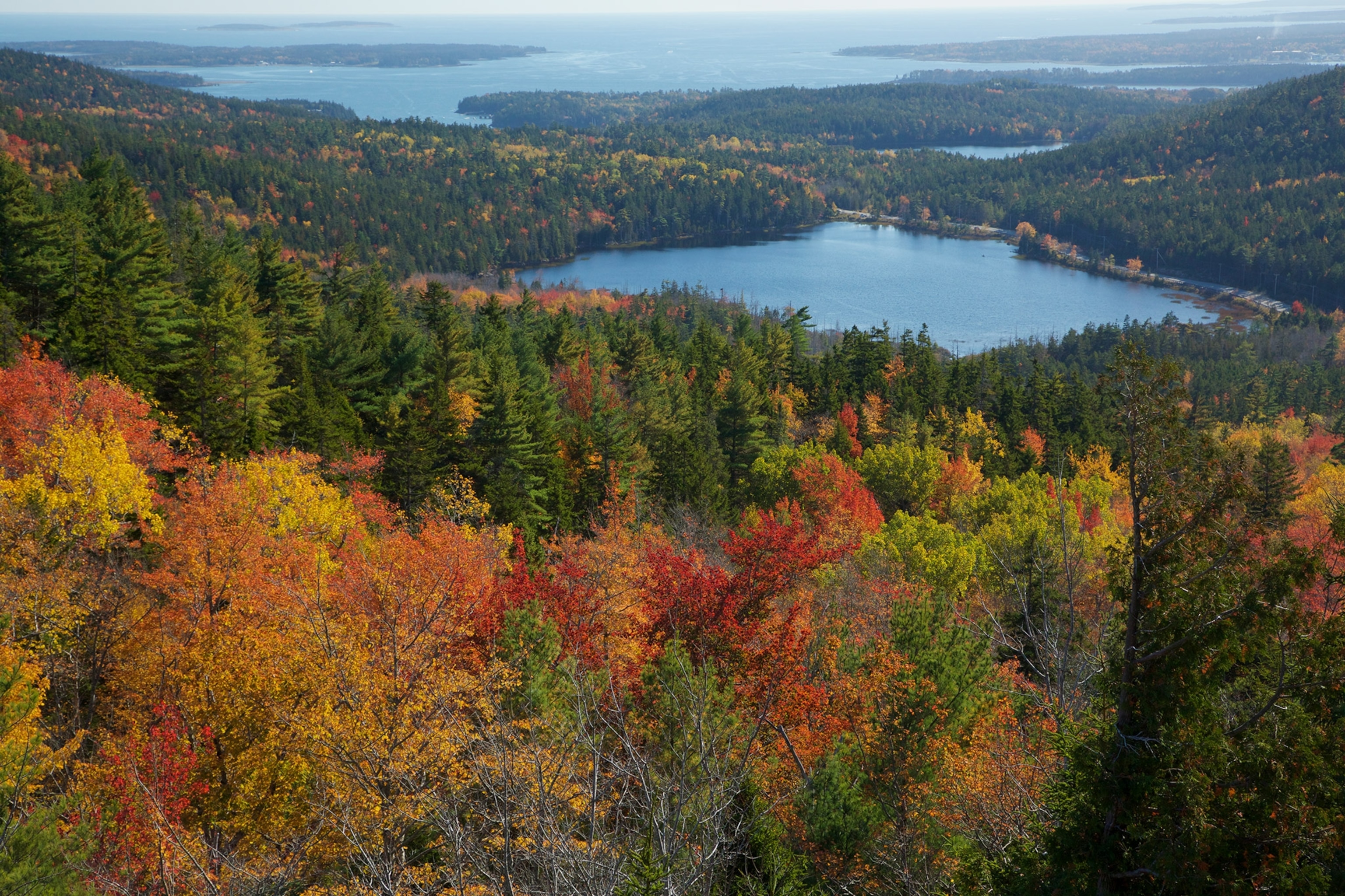 the View of the colorful fall forest, lake and bay in Acadia National Park