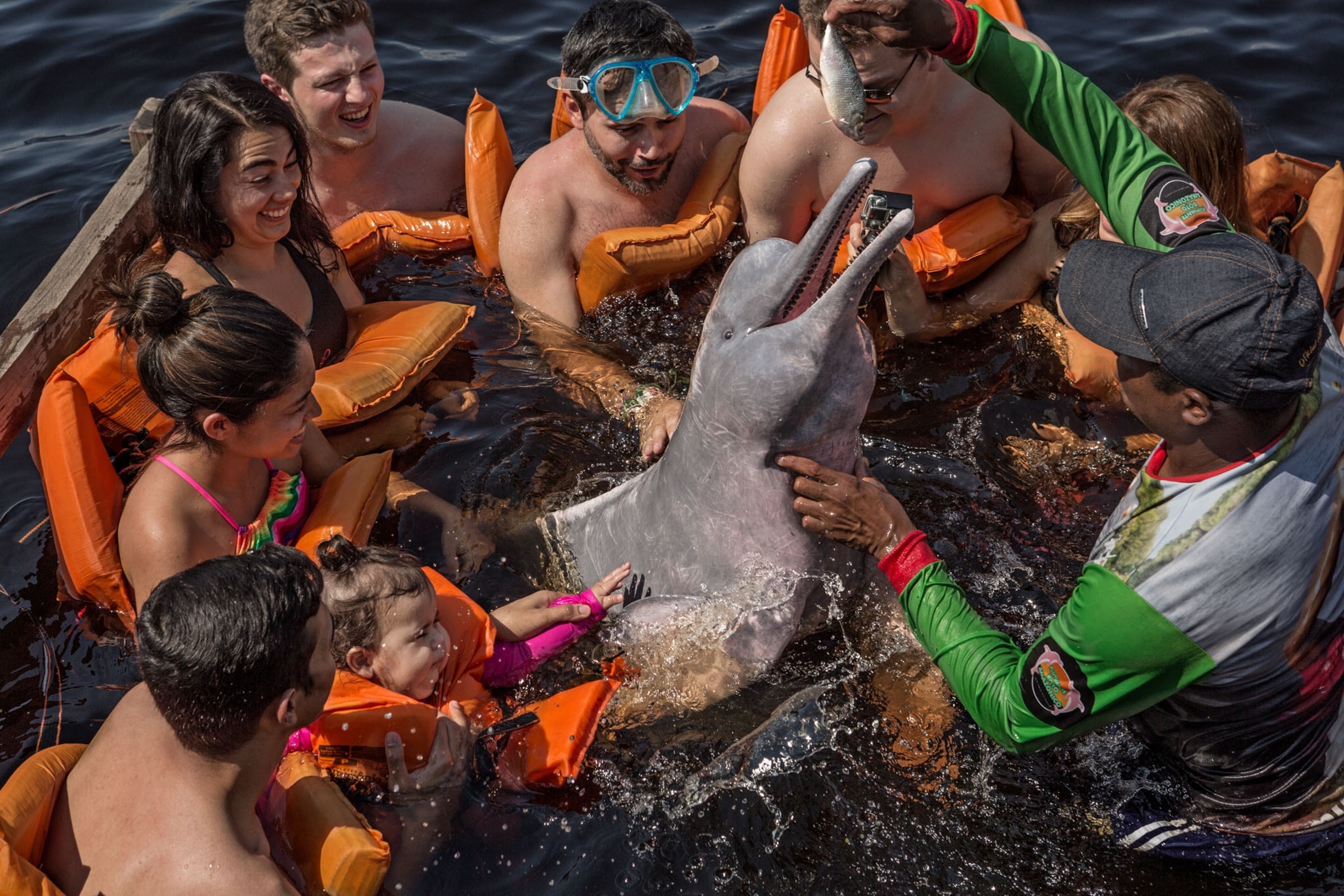 people engaging with a dolphin for tourism