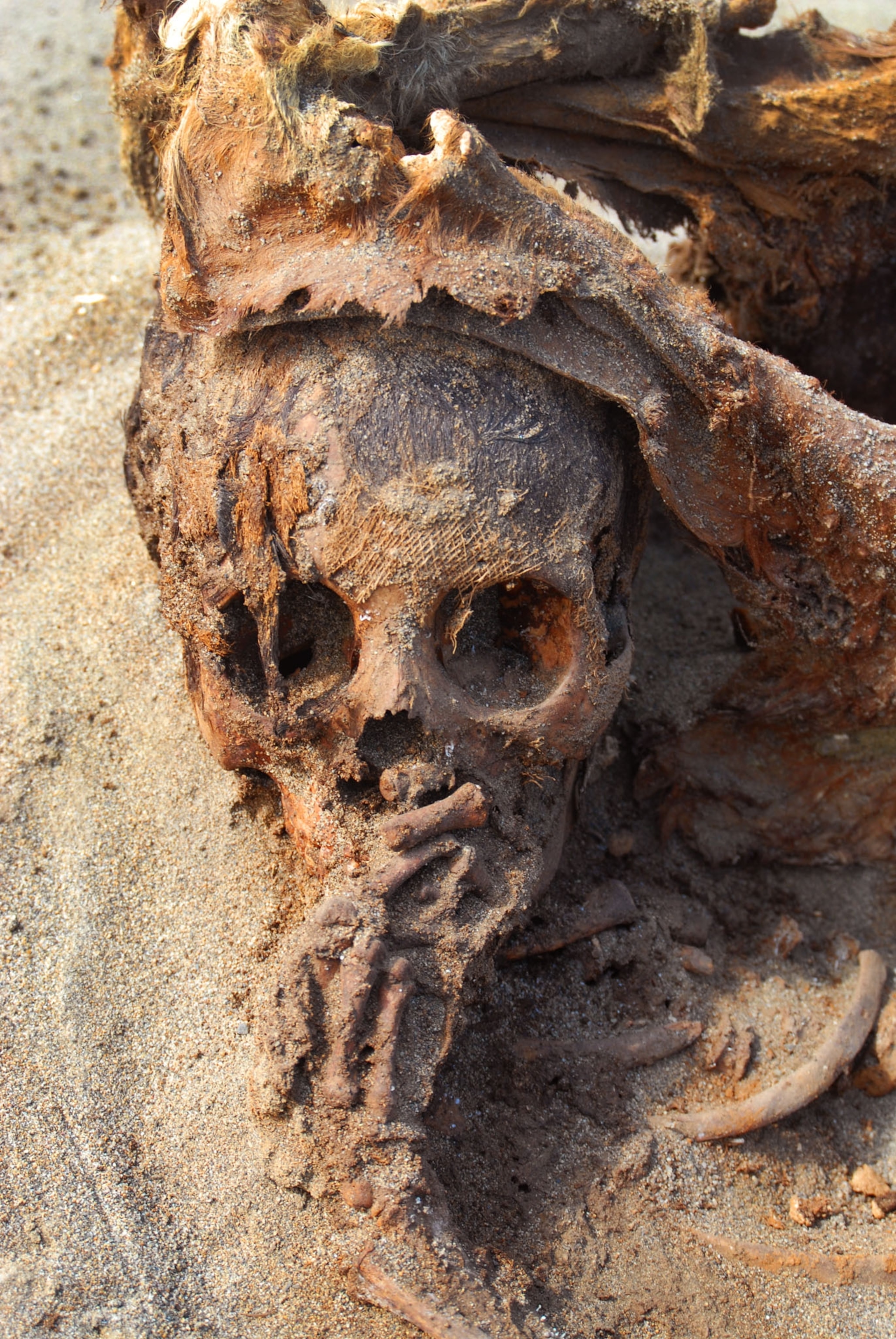 child skeleton with hand in mouth.