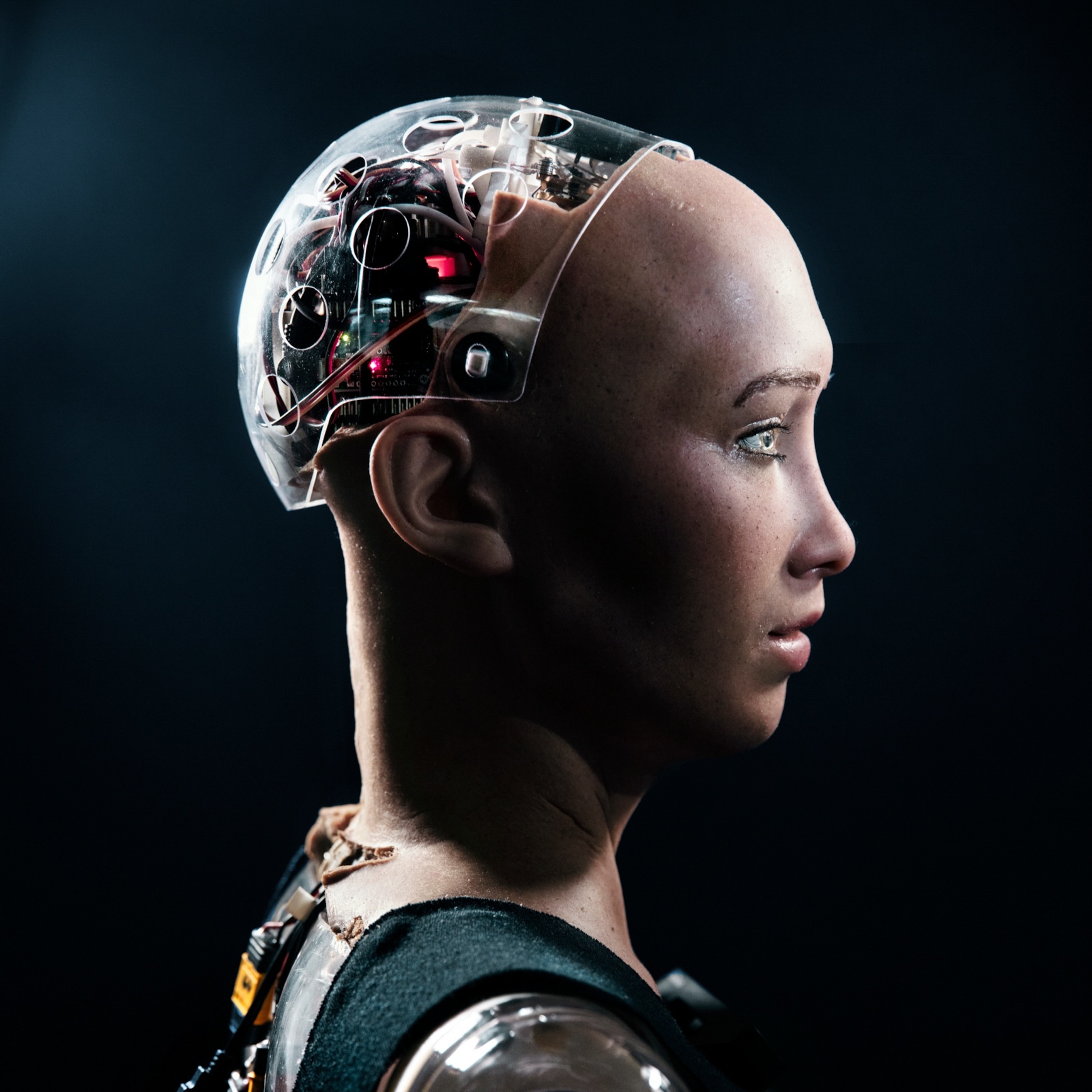 A side view of the robot, Sophia, showing the visible computer "brain" behind her human-like face.