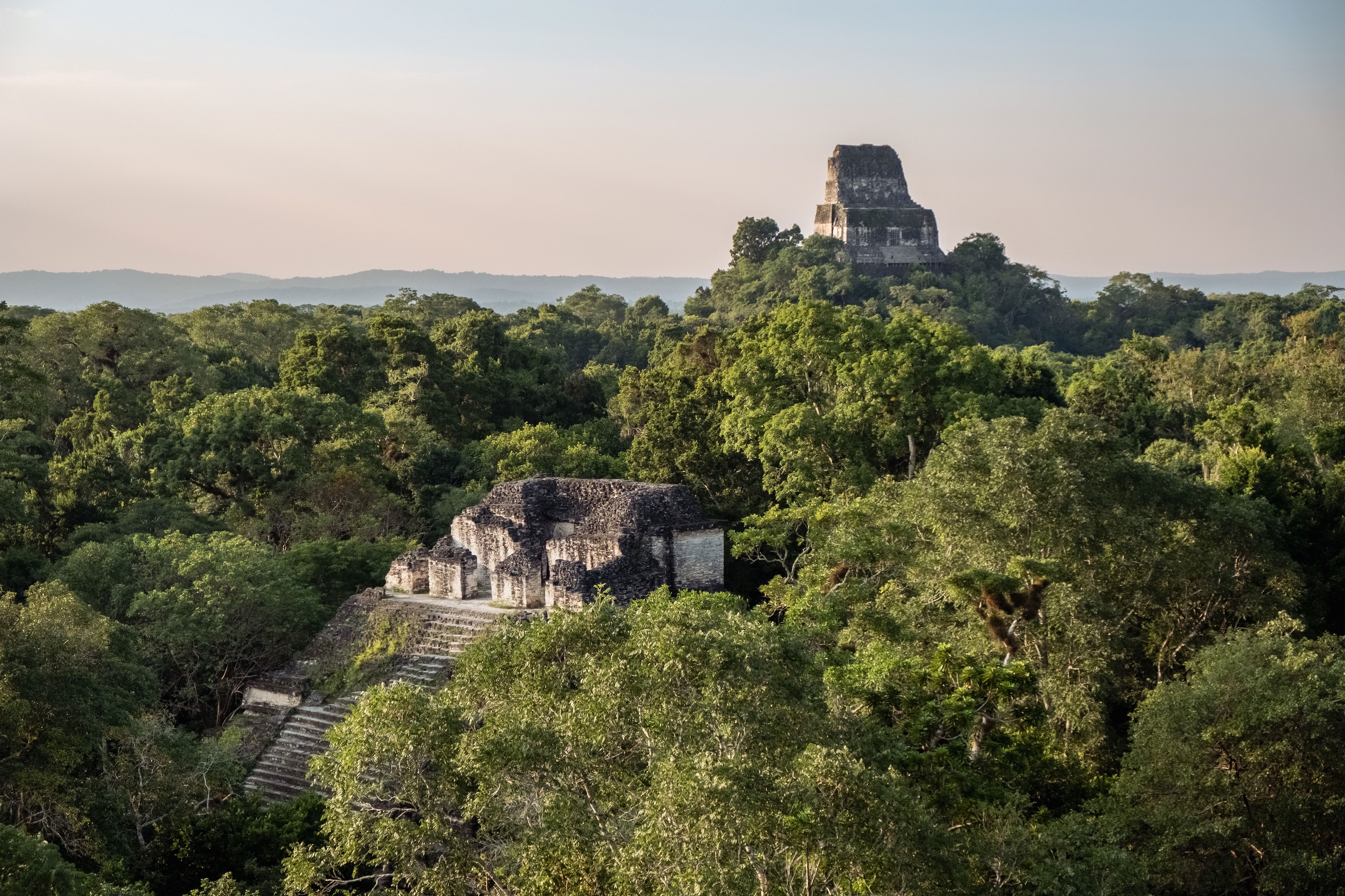 The view from the top of Tikal’s Pyramid of the Lost World over the dense forest of the Maya Biosphere Reserve and Temple IV.
