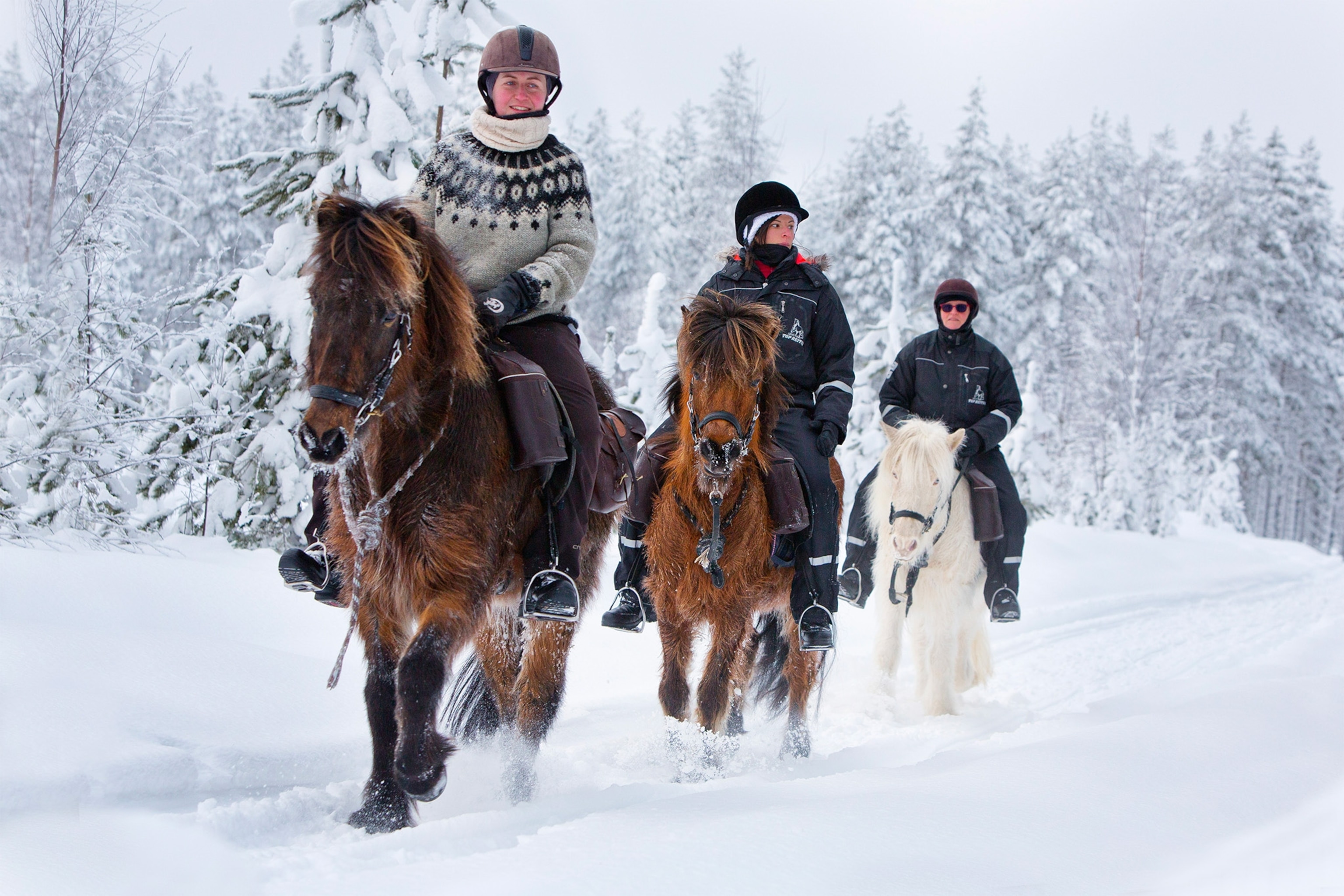 people on horseback in taiga forest