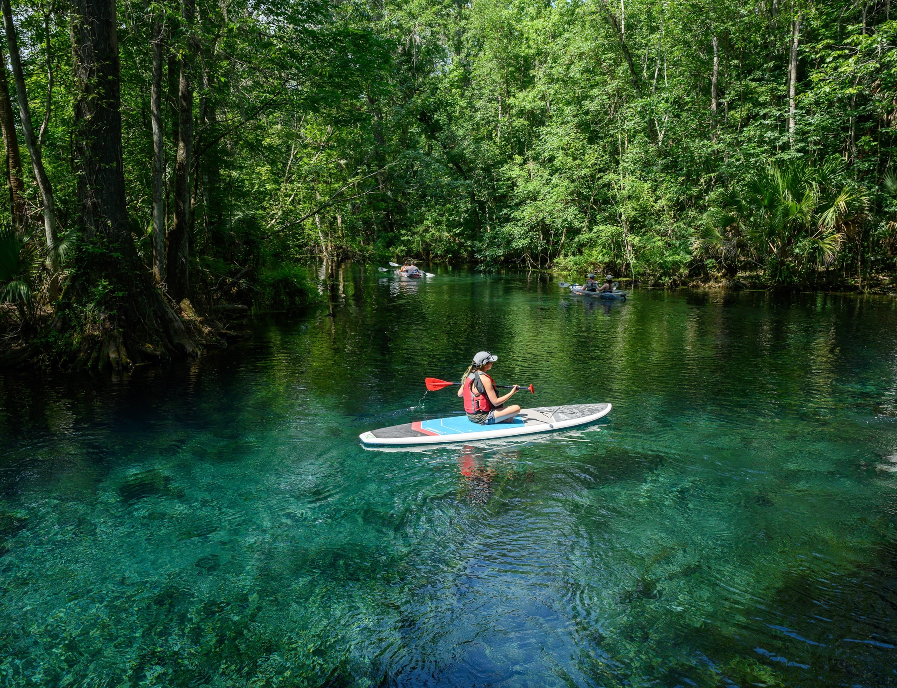 A woman in a paddle board surrounded by trees.