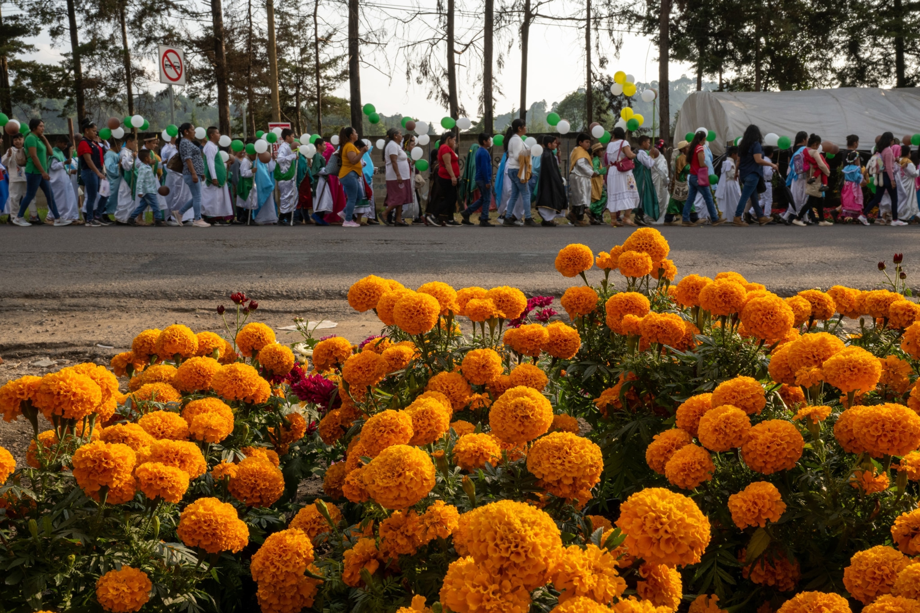 Mexican marigold, cempasúchil, or Aztec marigold lines stands in Mexico.