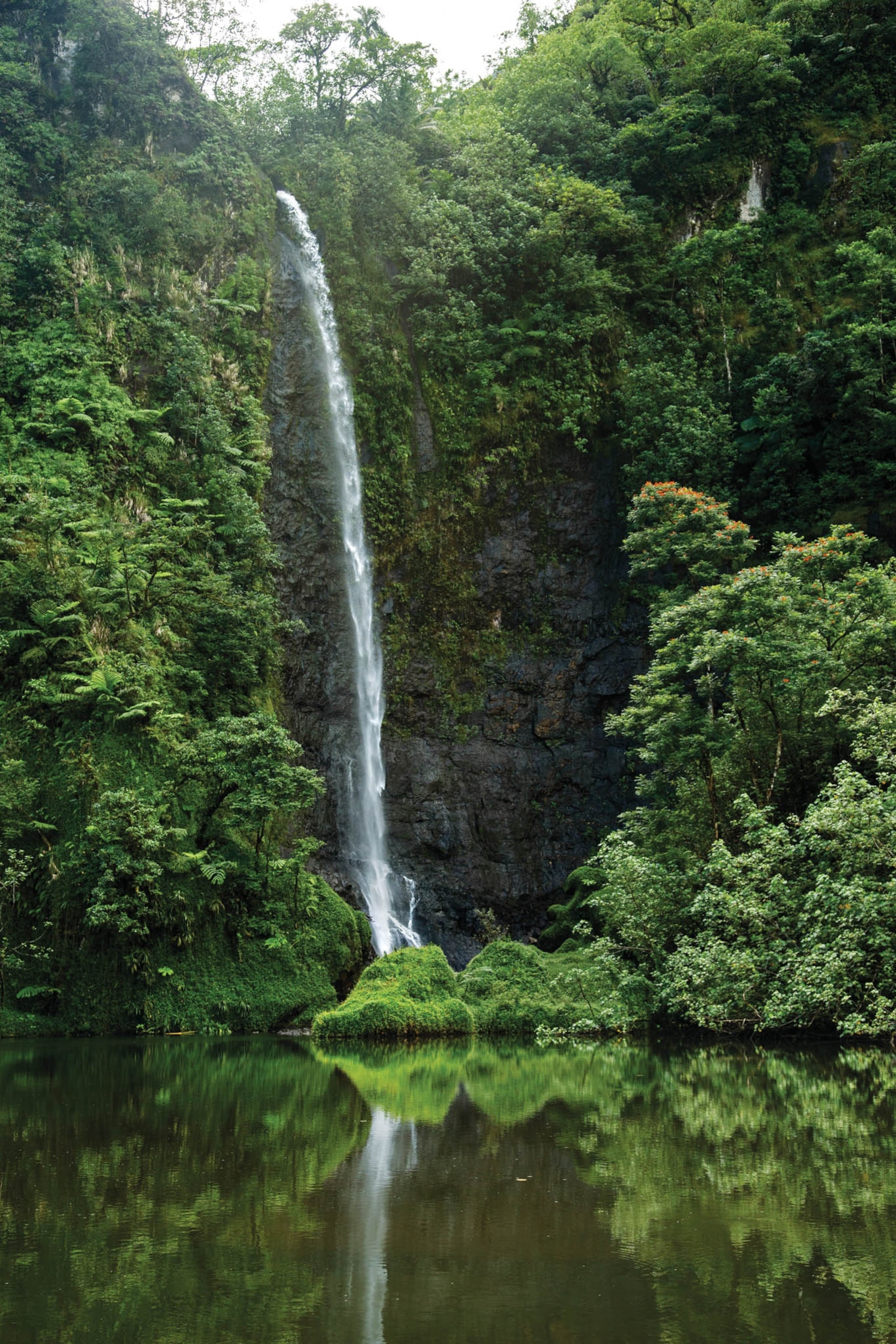 a waterfall