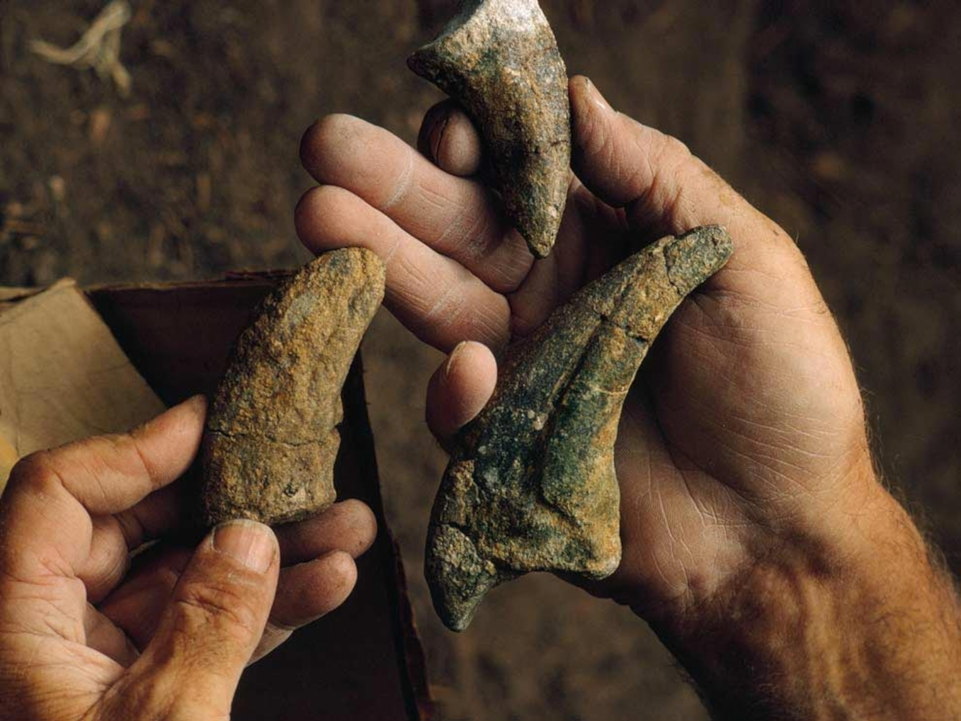 Hands holding dinosaur claws