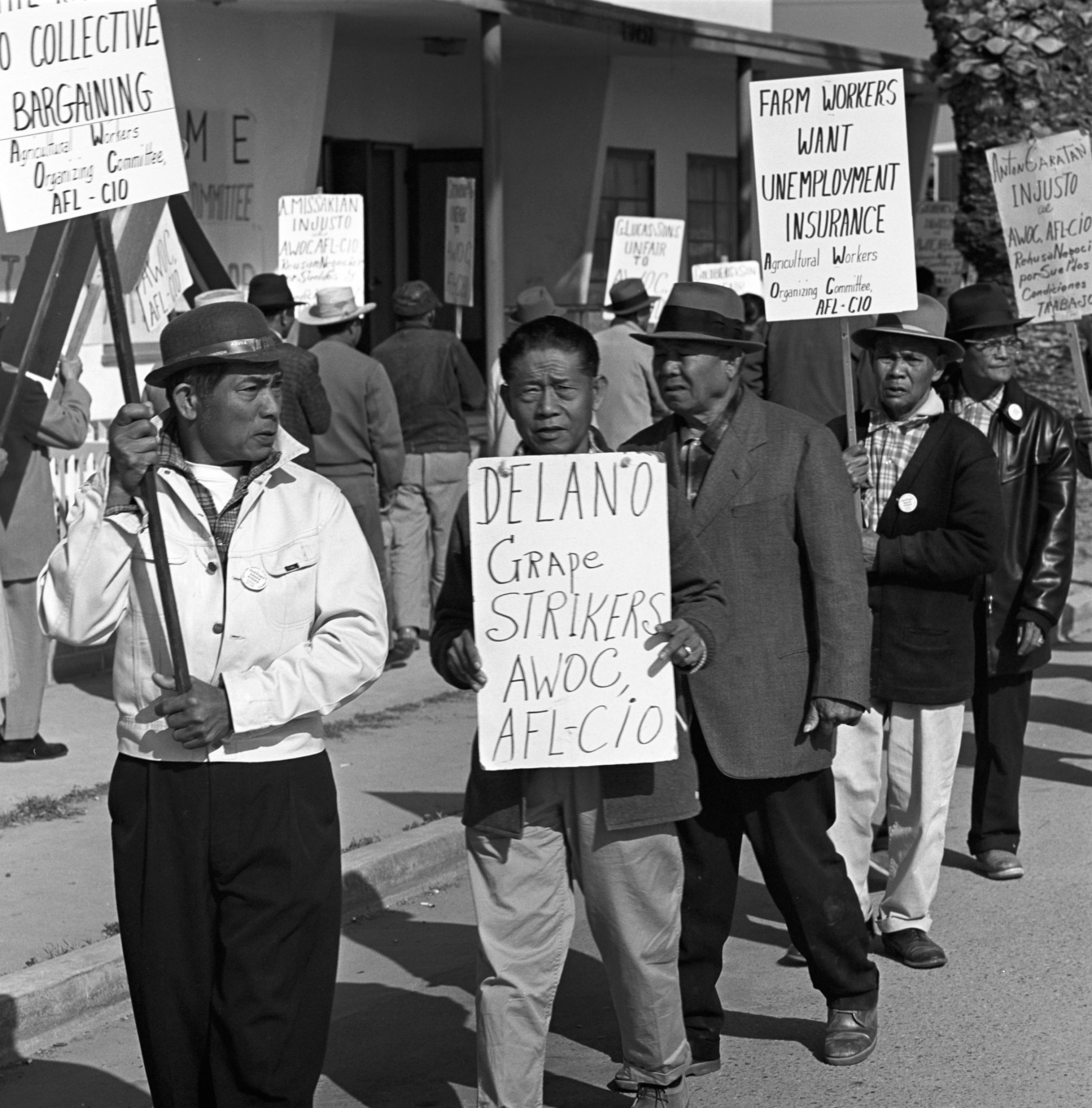 Filipino Delano Grape Strikers