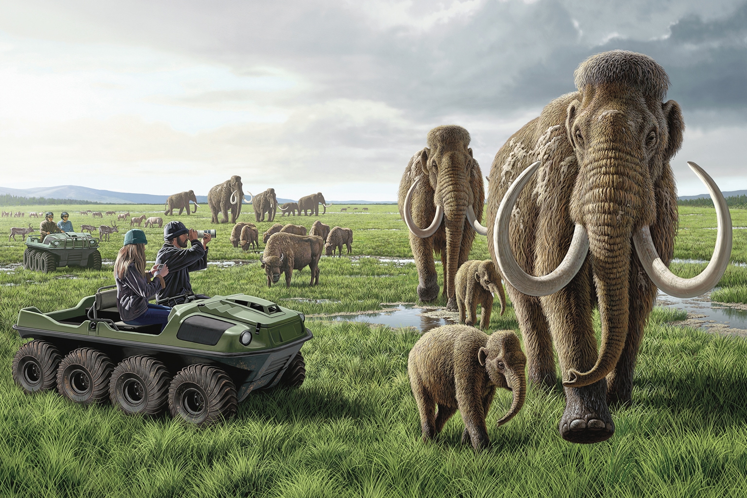 Art depicting a Pleistocene Park in Siberia containing cloned woolly mammoths