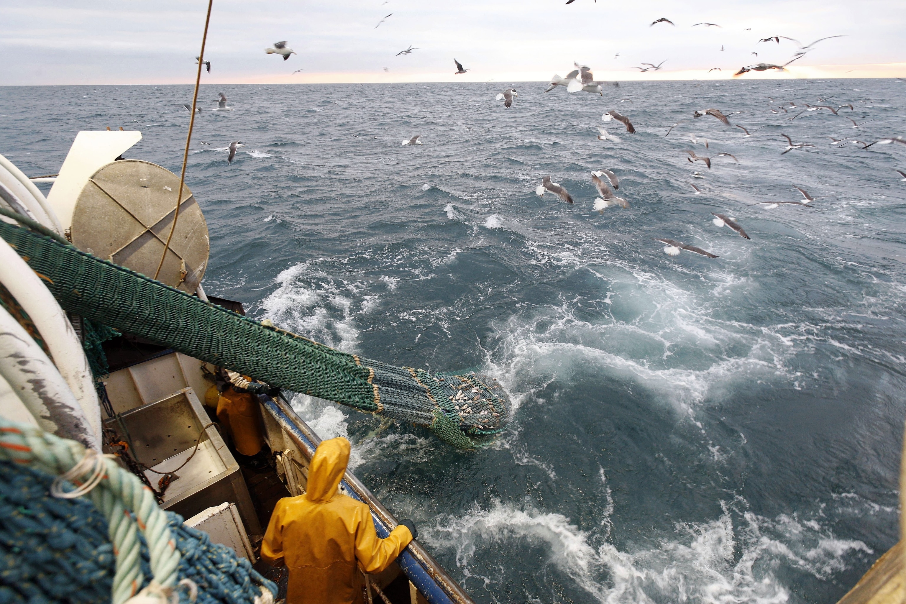 a trawl net is hauled onto a boat
