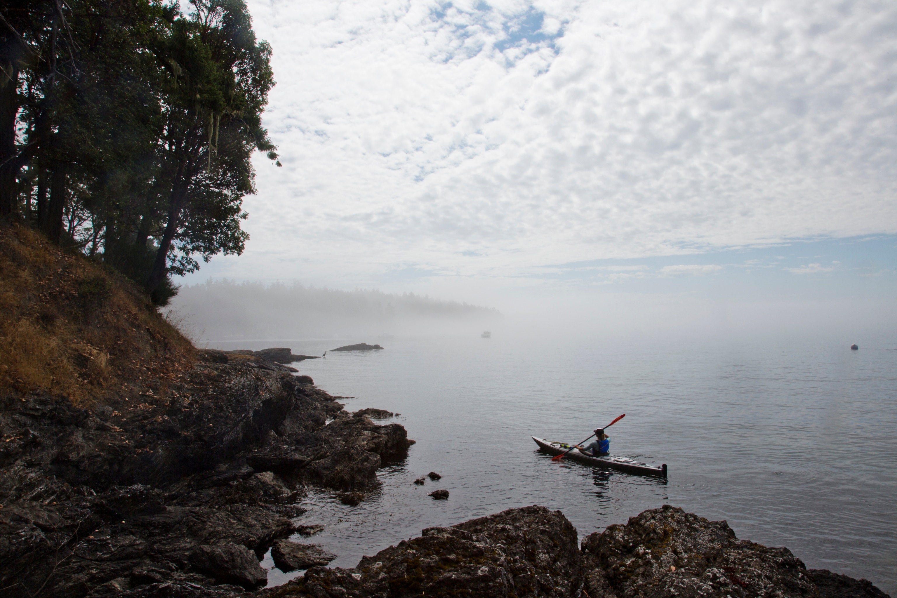 A young woman sea kayaks off the shore in the San Juan Islands in Washington