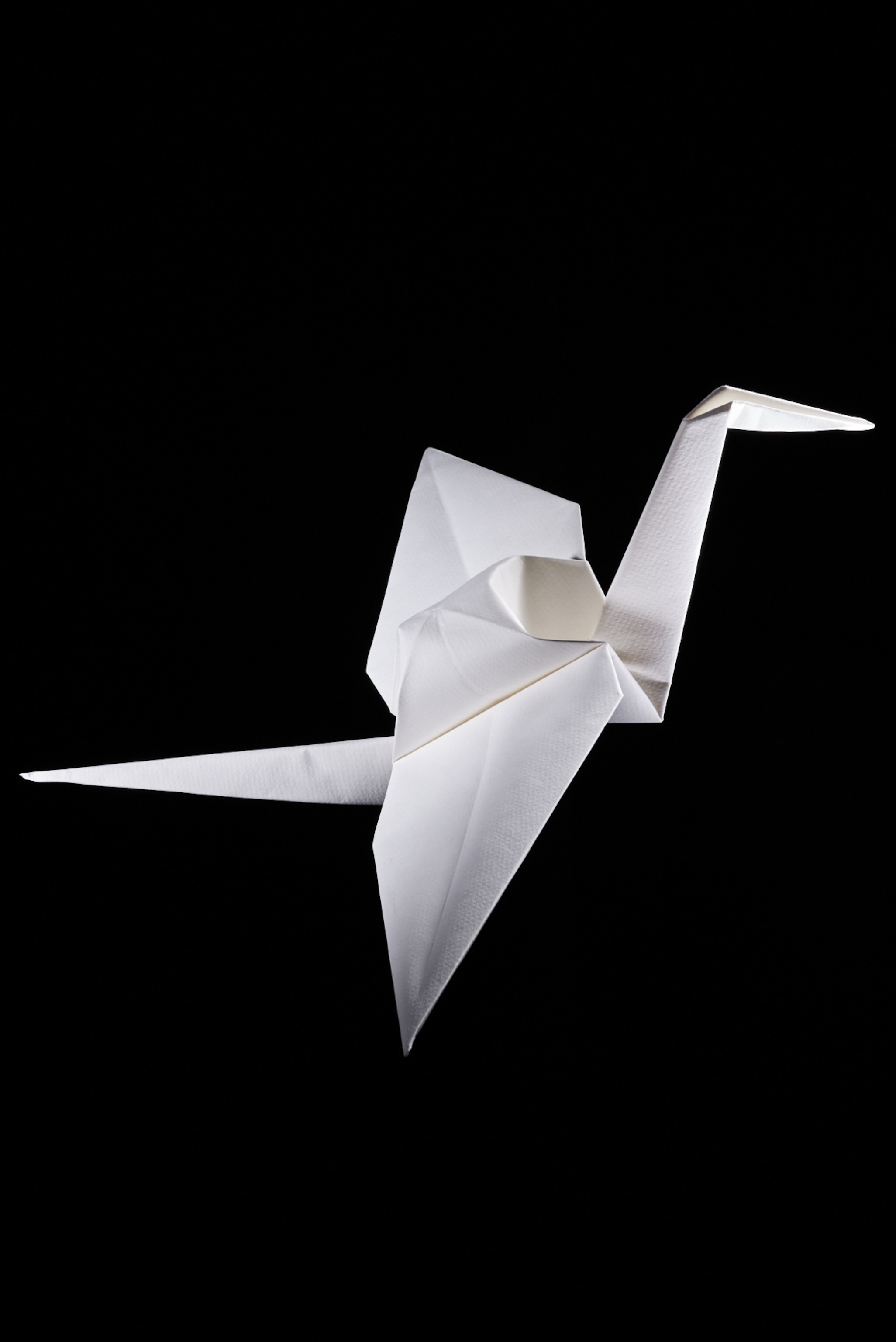 Picture of paper crane with spread wings.
