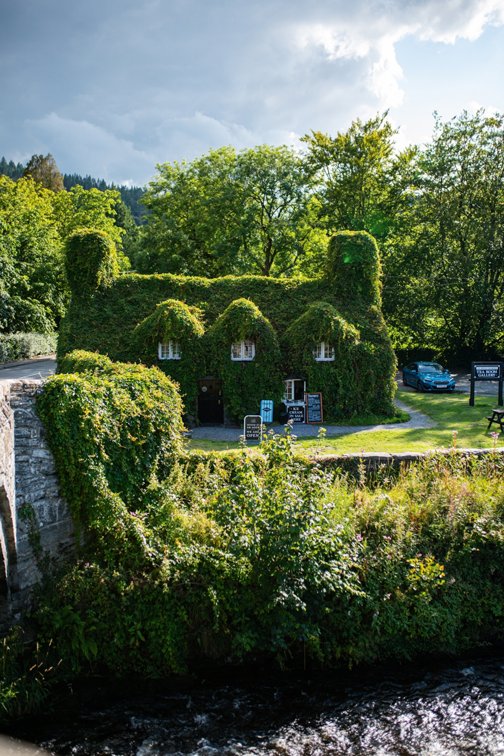Cottage exterior covered entirely in vine leaves with only windows and the door visible