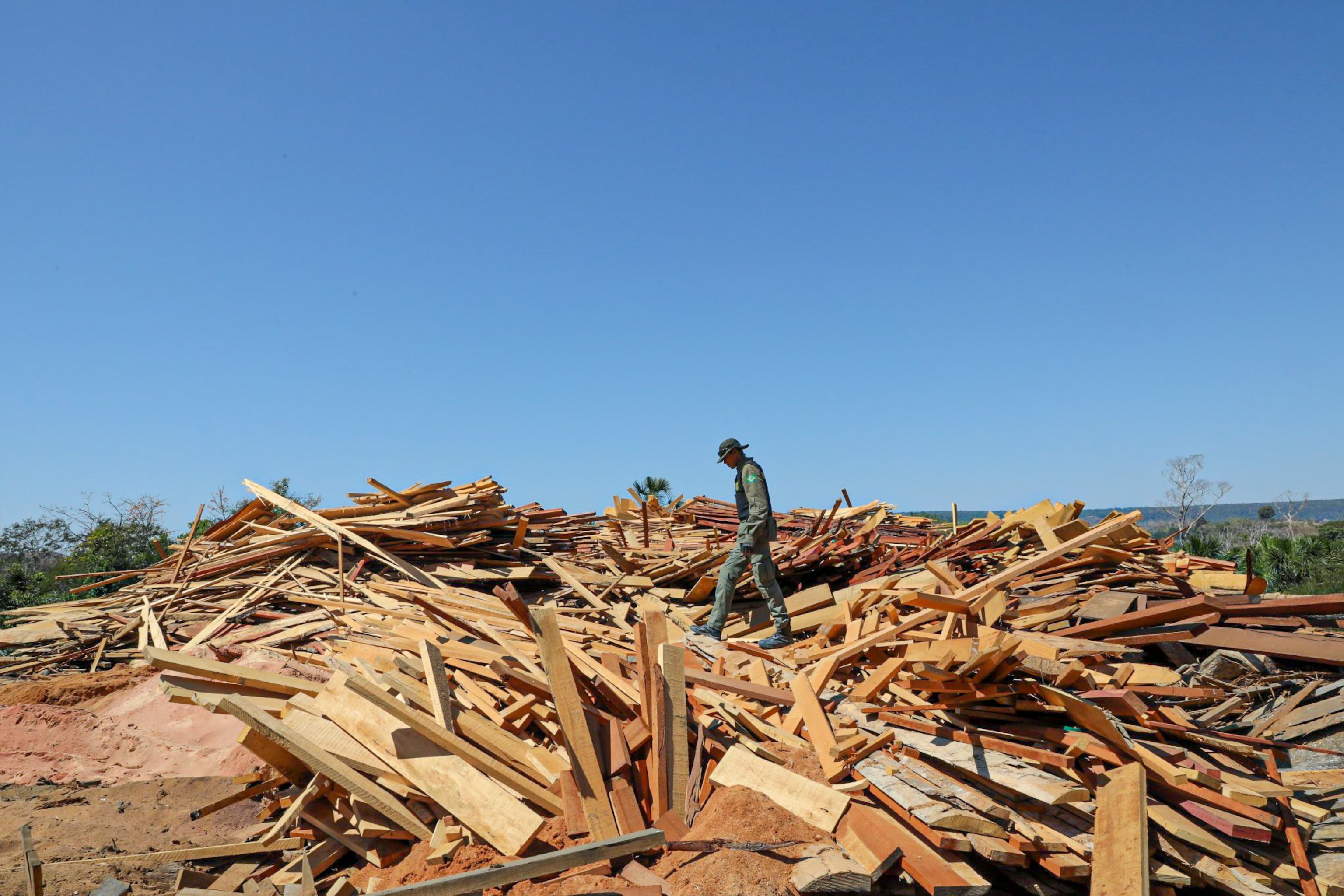 illegal logging in Brazil.