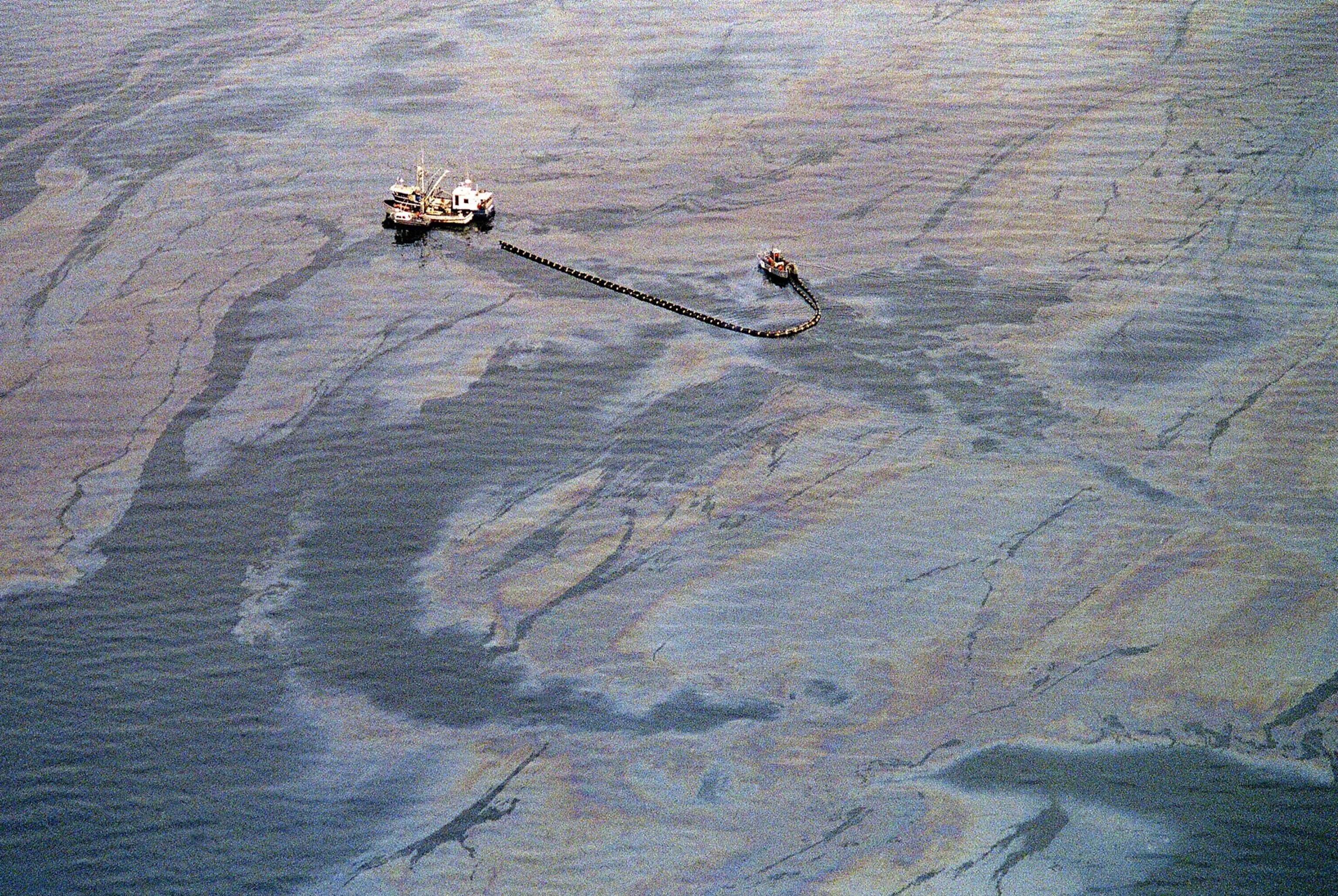 Exxon Valdez Oil Spill