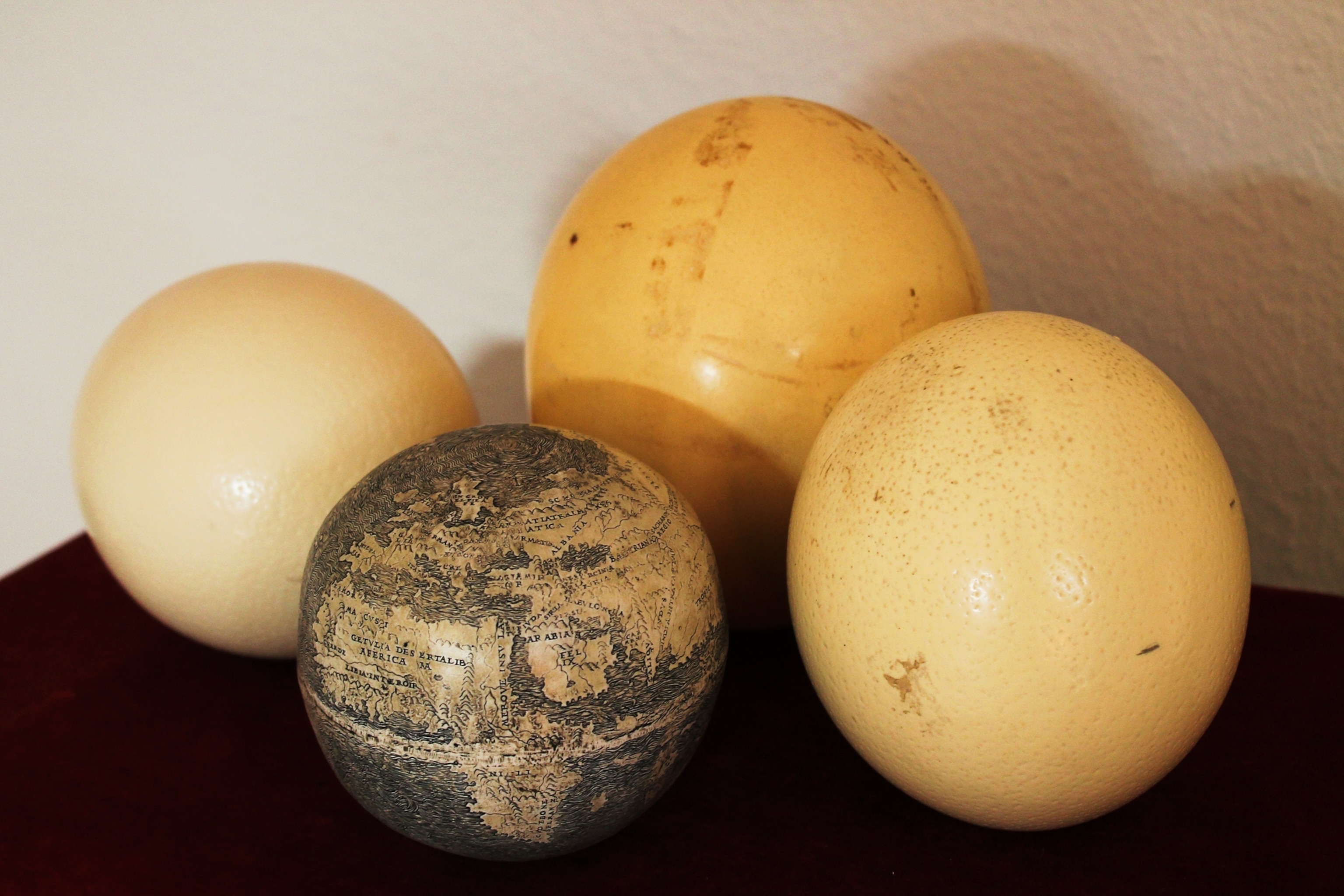 An engraved ostrich egg among other ostrich eggs.