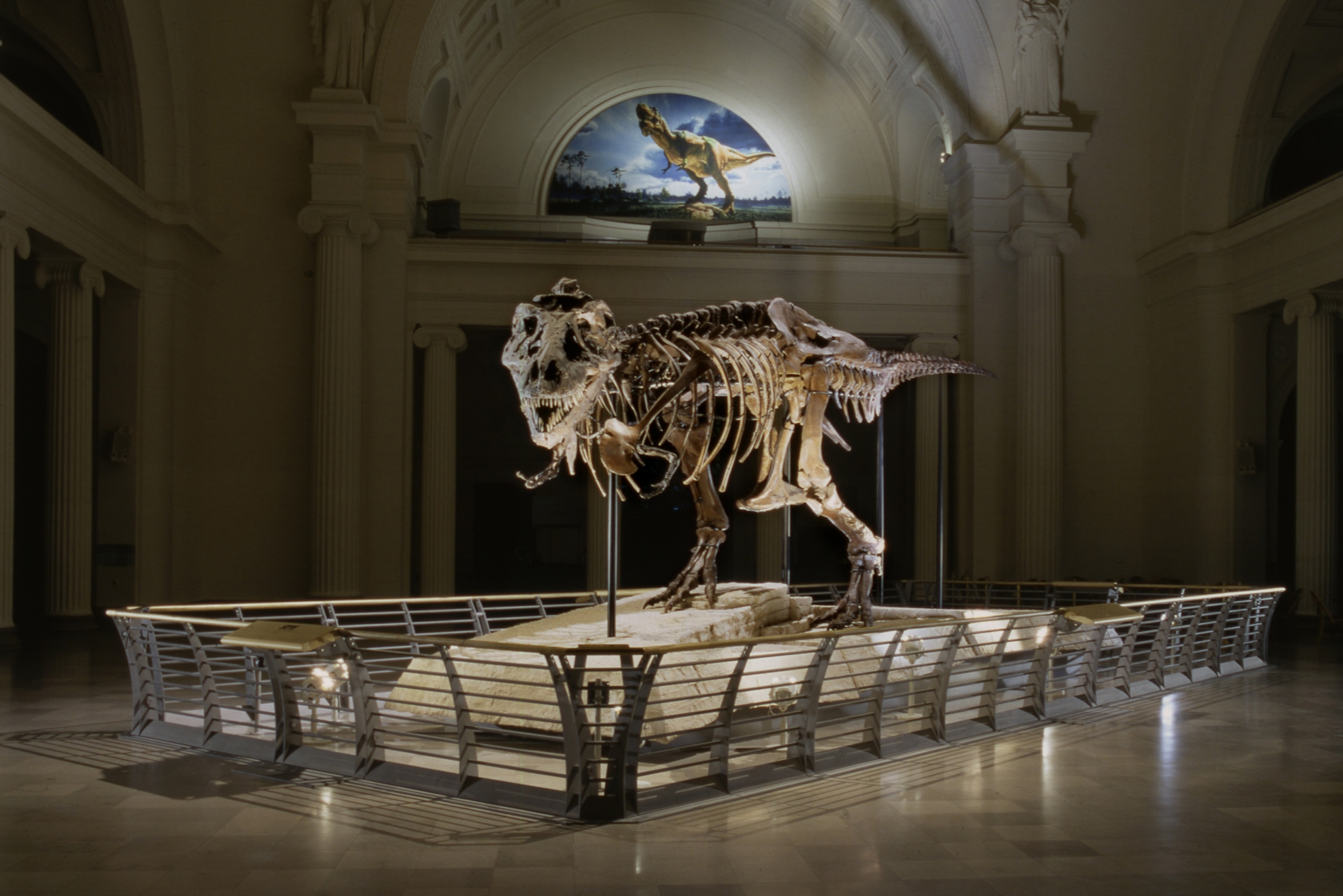 View of the completed exhibit installation of the fossil skeleton of Sue, a Tyrannosaurus Rex, seen in a darkened Stanley Field Hall at the Field Museum, Chicago, Illinois, June 15, 2000.
