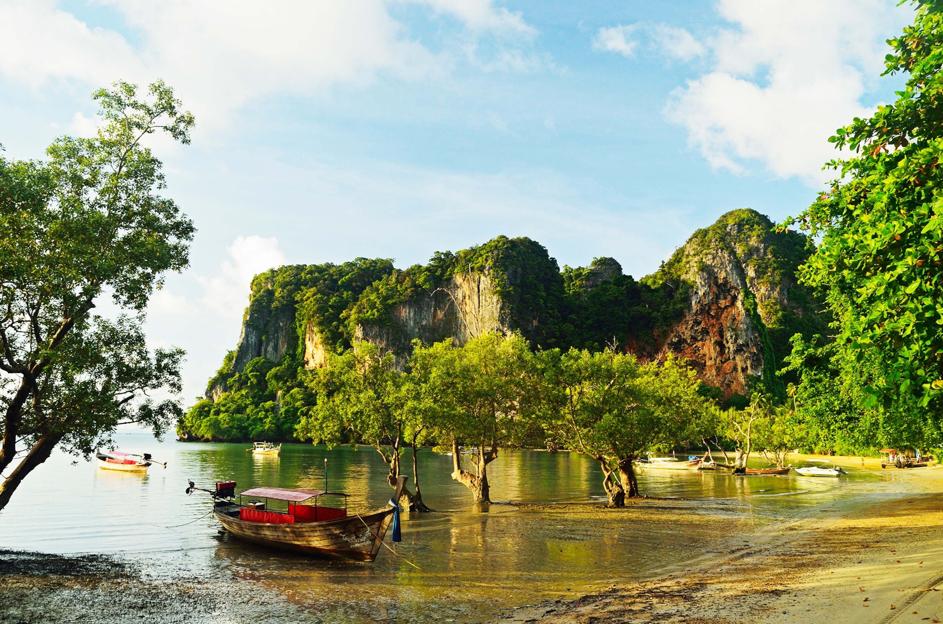 the Andaman Coast in the Krabi Province, Thailand