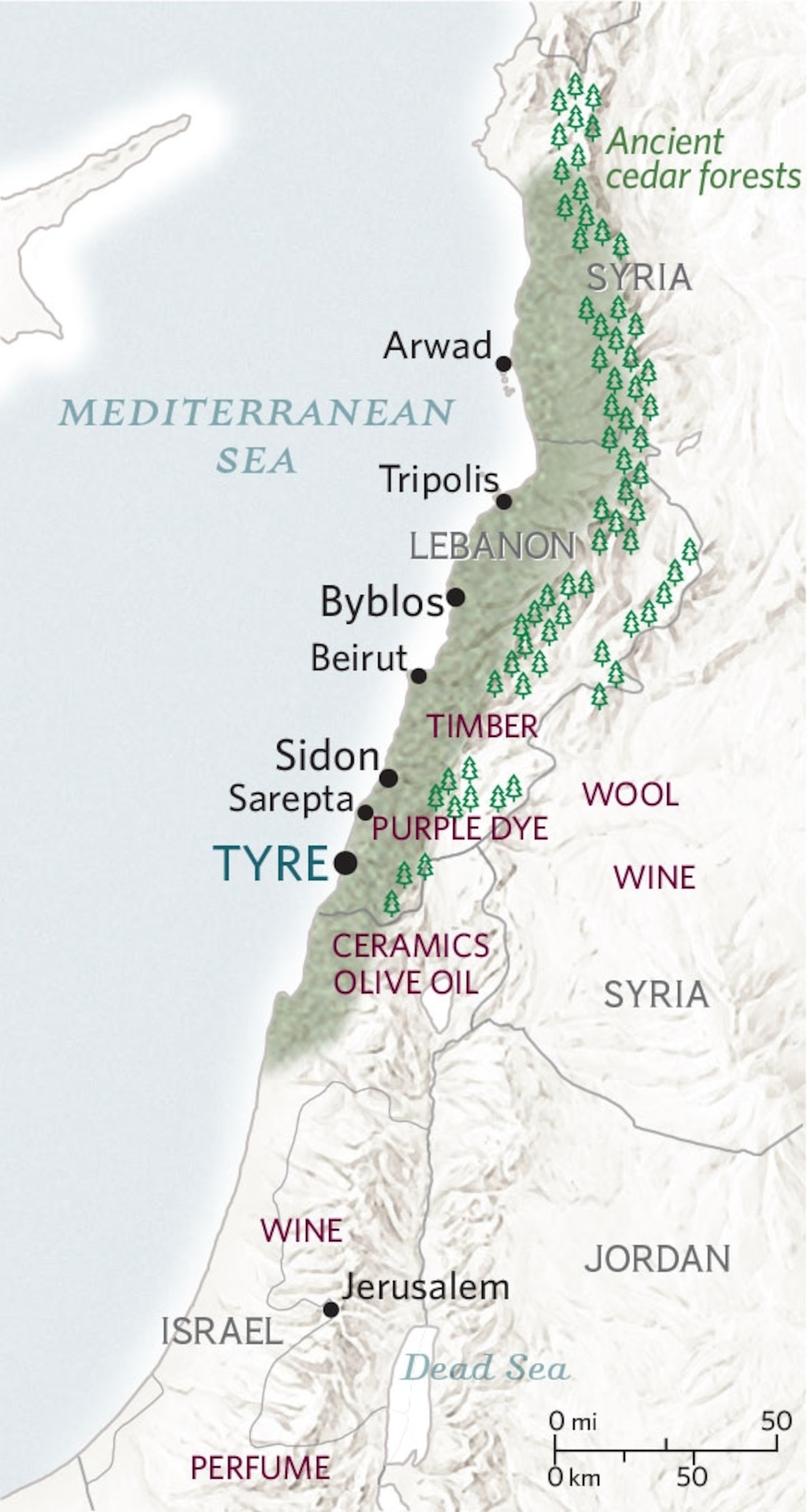 A map of Tyre