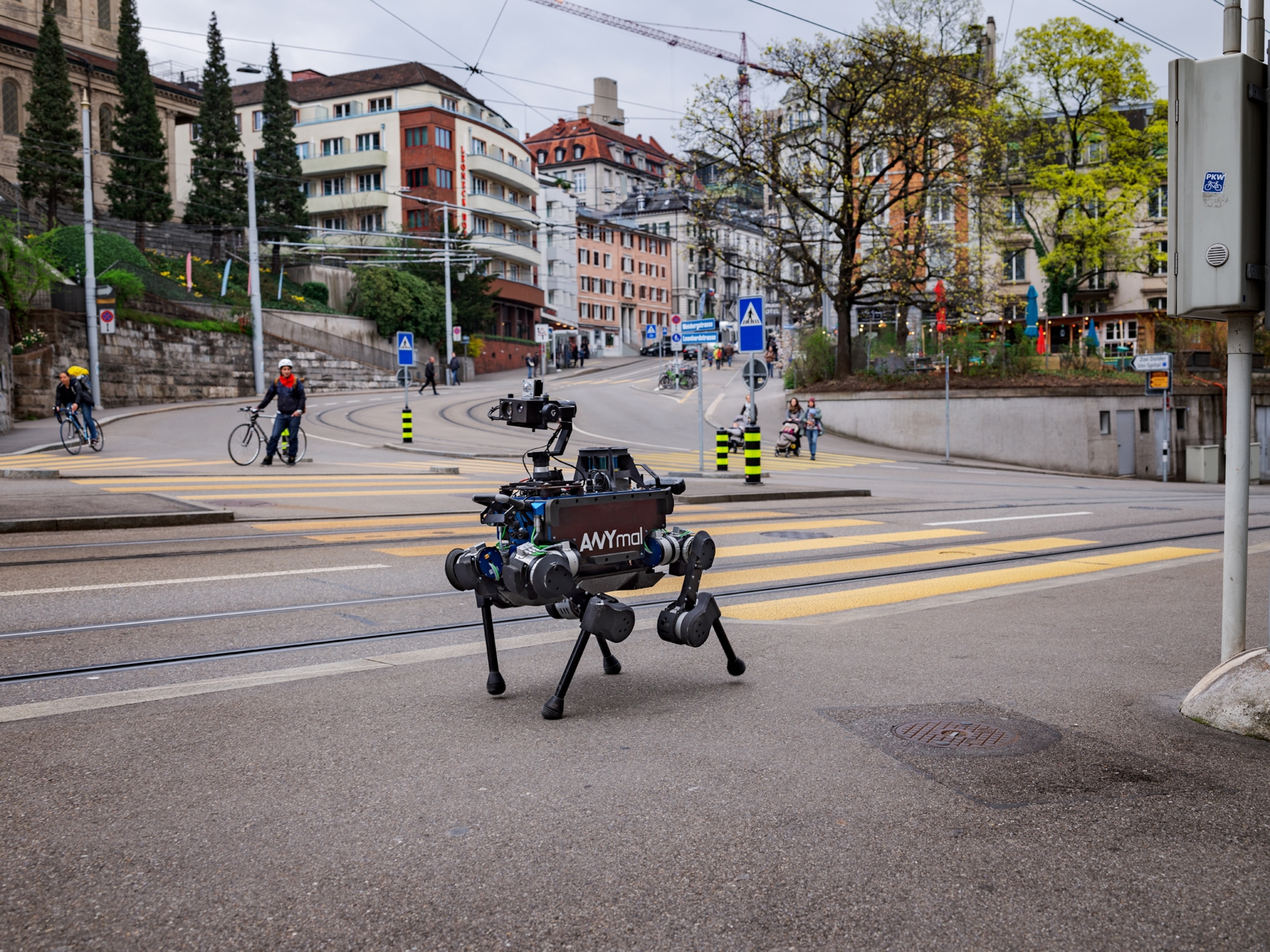 a robot on four langs walking down street.