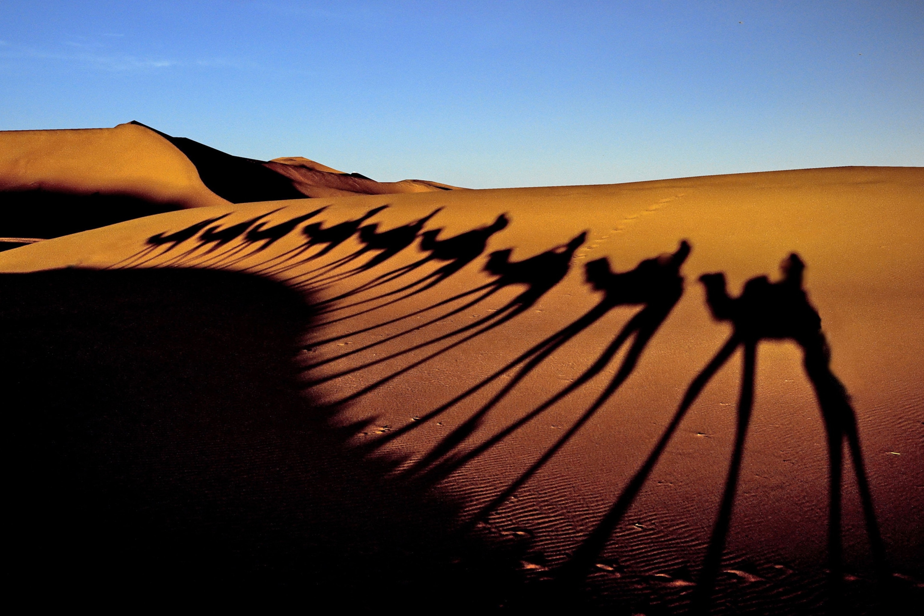 Egypt