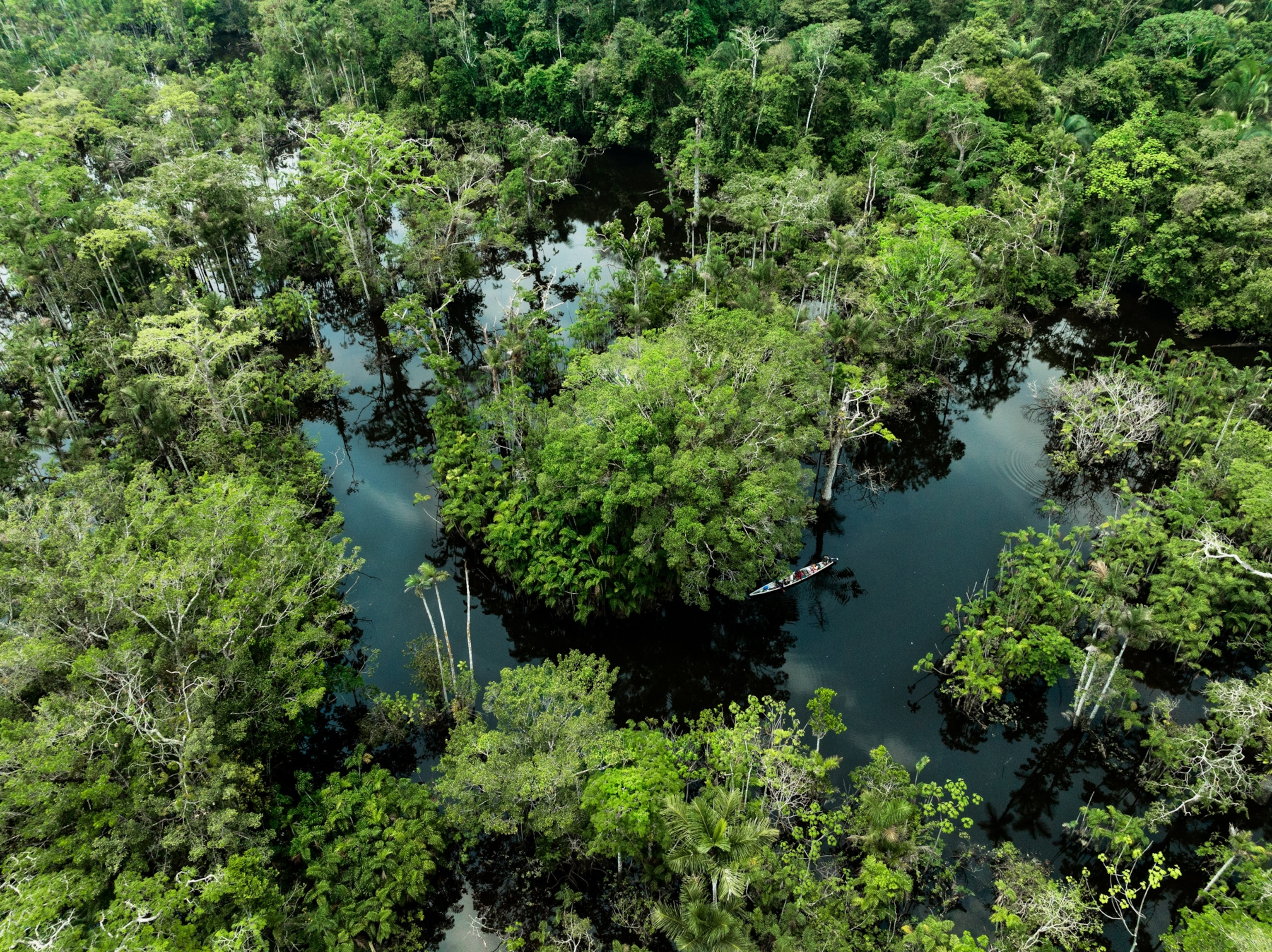 A canoeist navigated a turn in the Zábalo River wetlands. The photograph is taken from above, and encapsulates lush wetlands and a windy river.