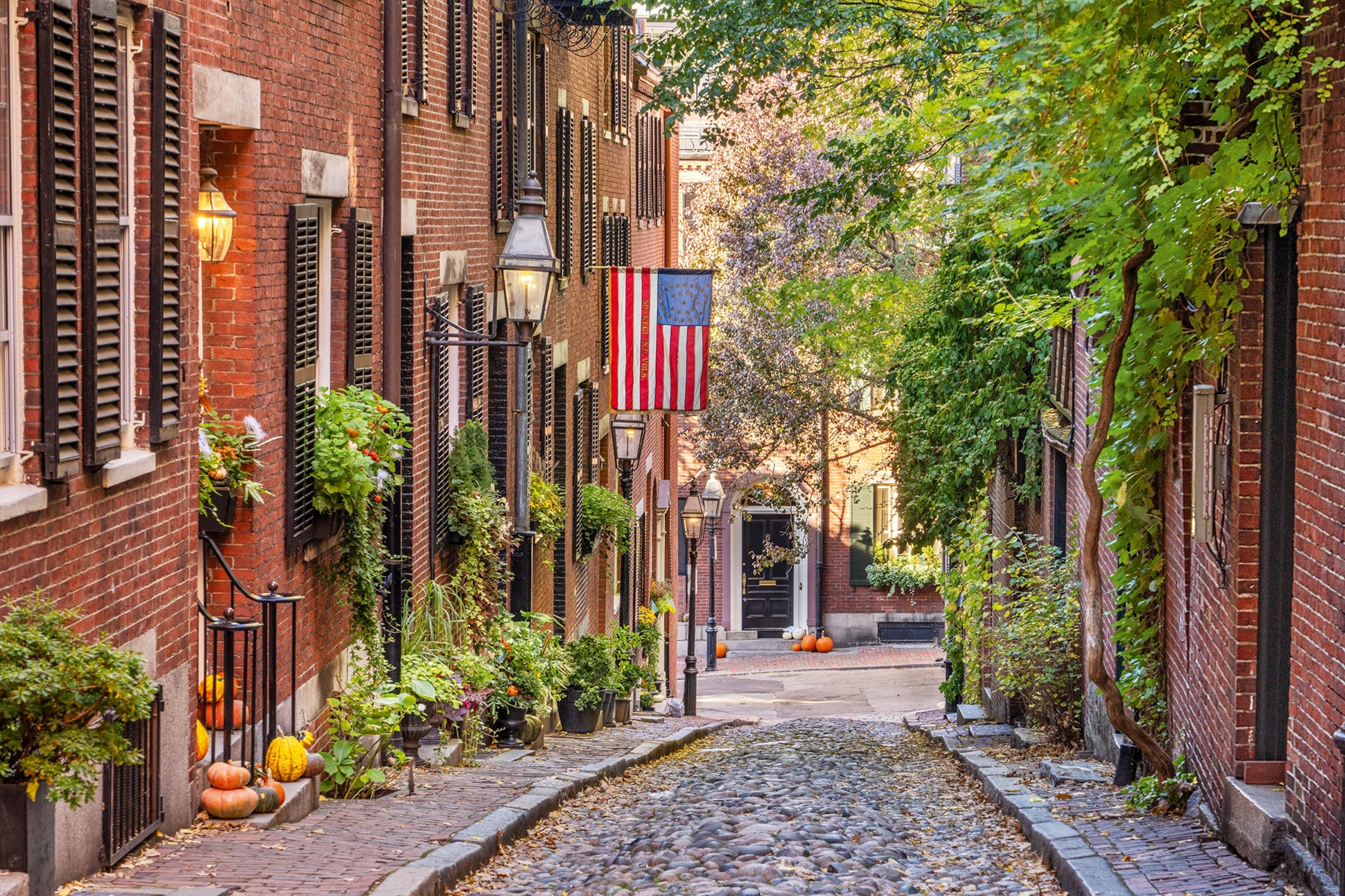 A cobble-stoned residential passage framed by red brick houses, greenery and a single American flag hanging in between.