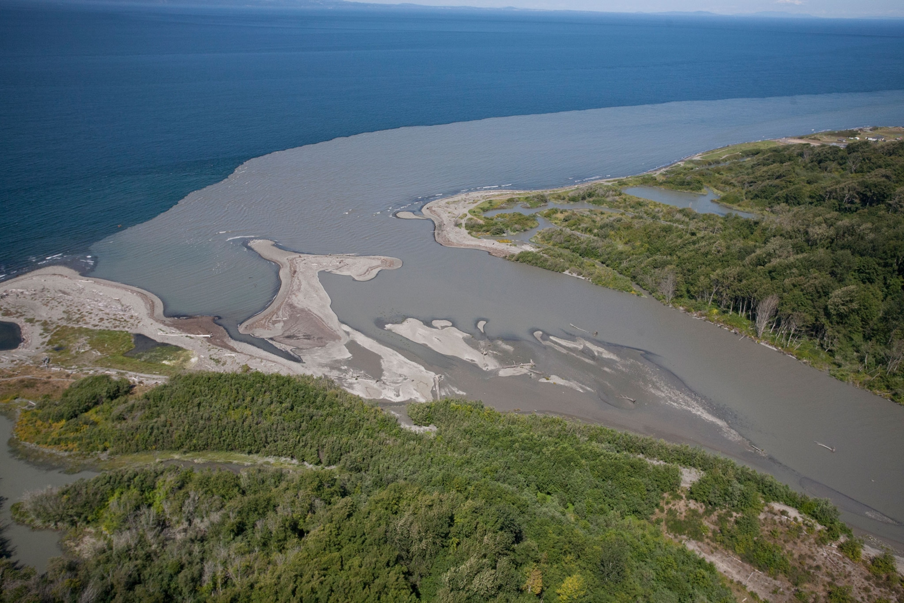the Elwha River