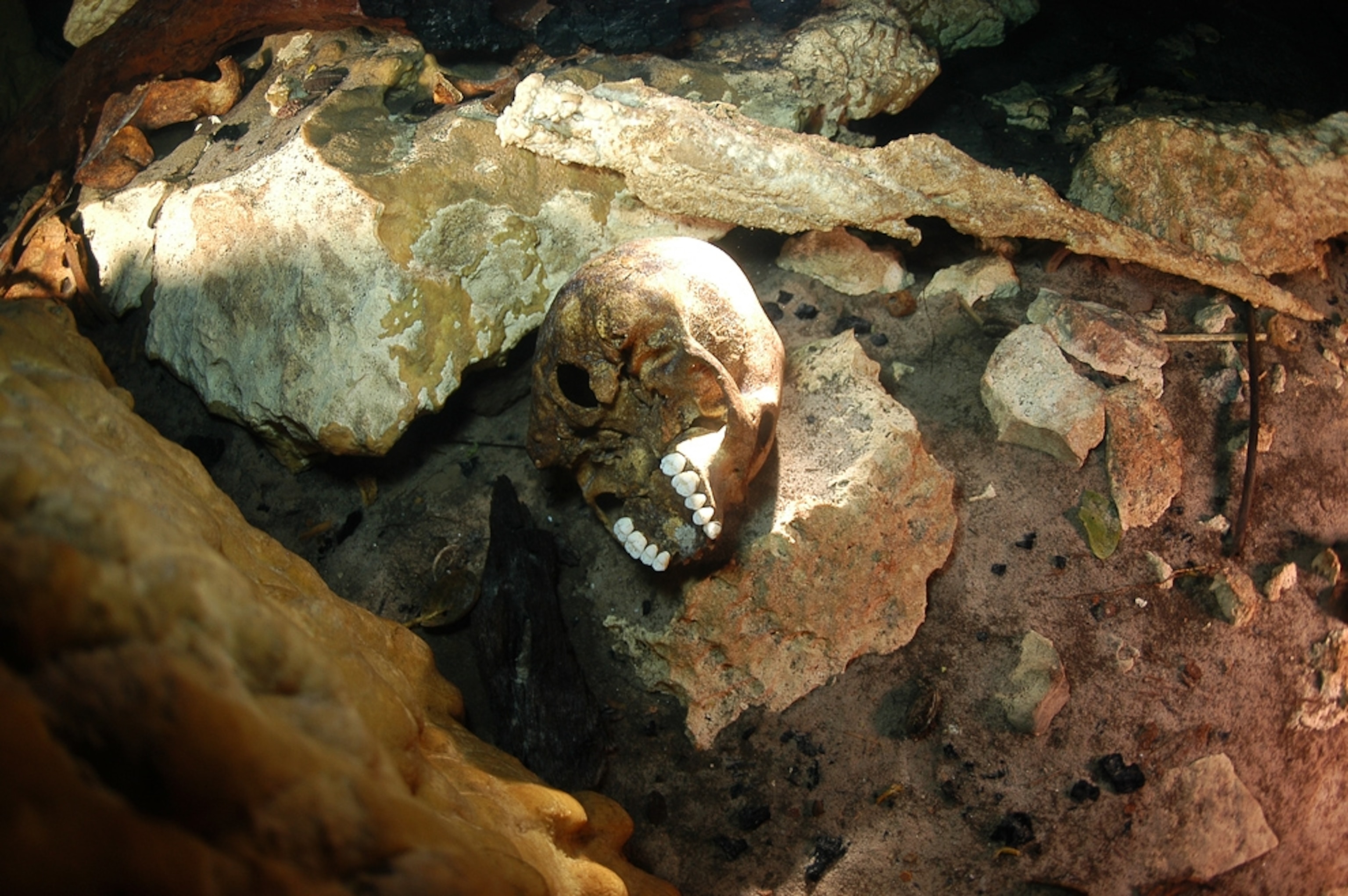 Maya sacrifice picture: A skull resting on a rock in a cenote