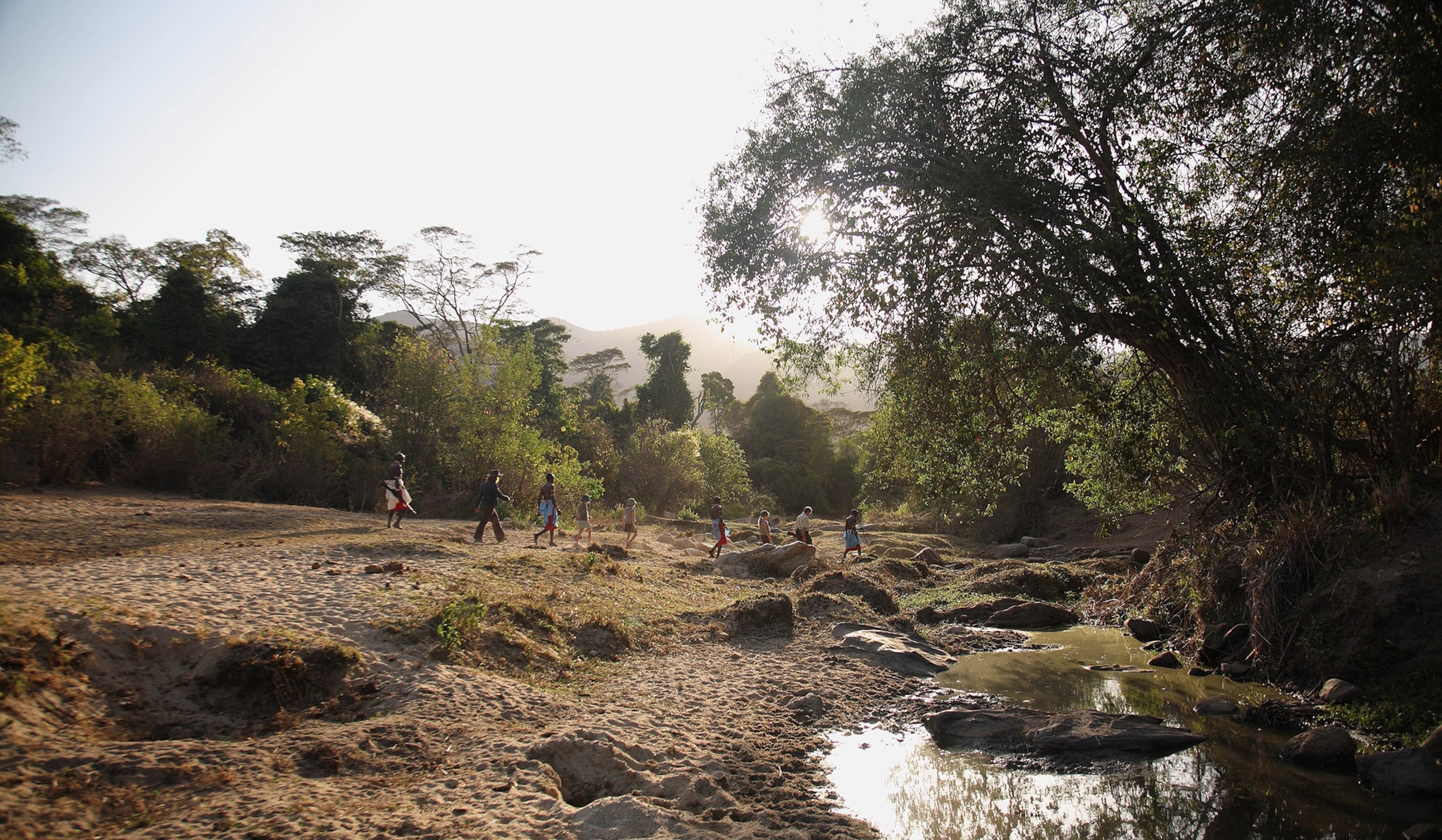 a walk in an ancient forest with Samburu guides in Kenya