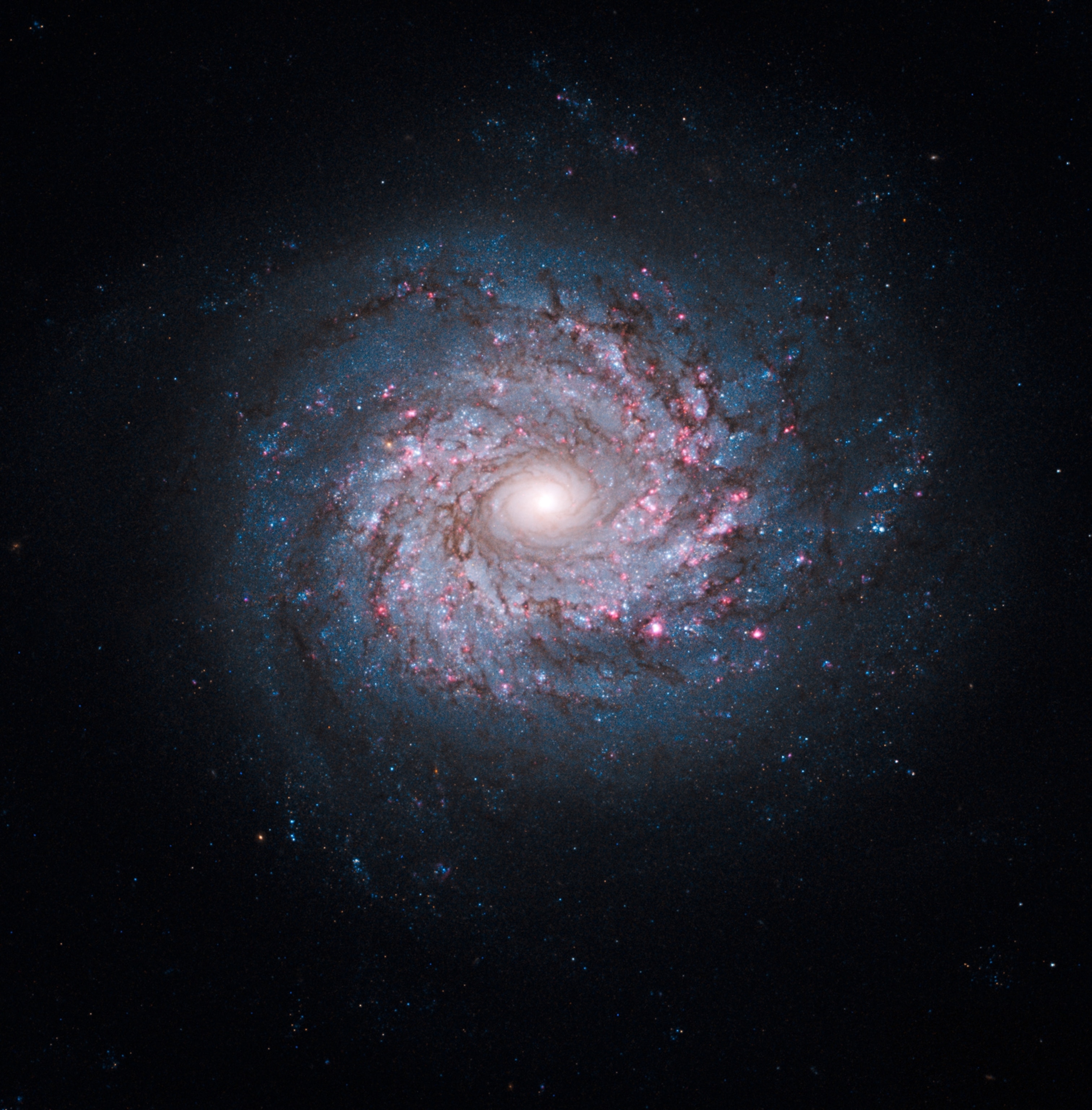 Glowing arms of a galaxy in space.