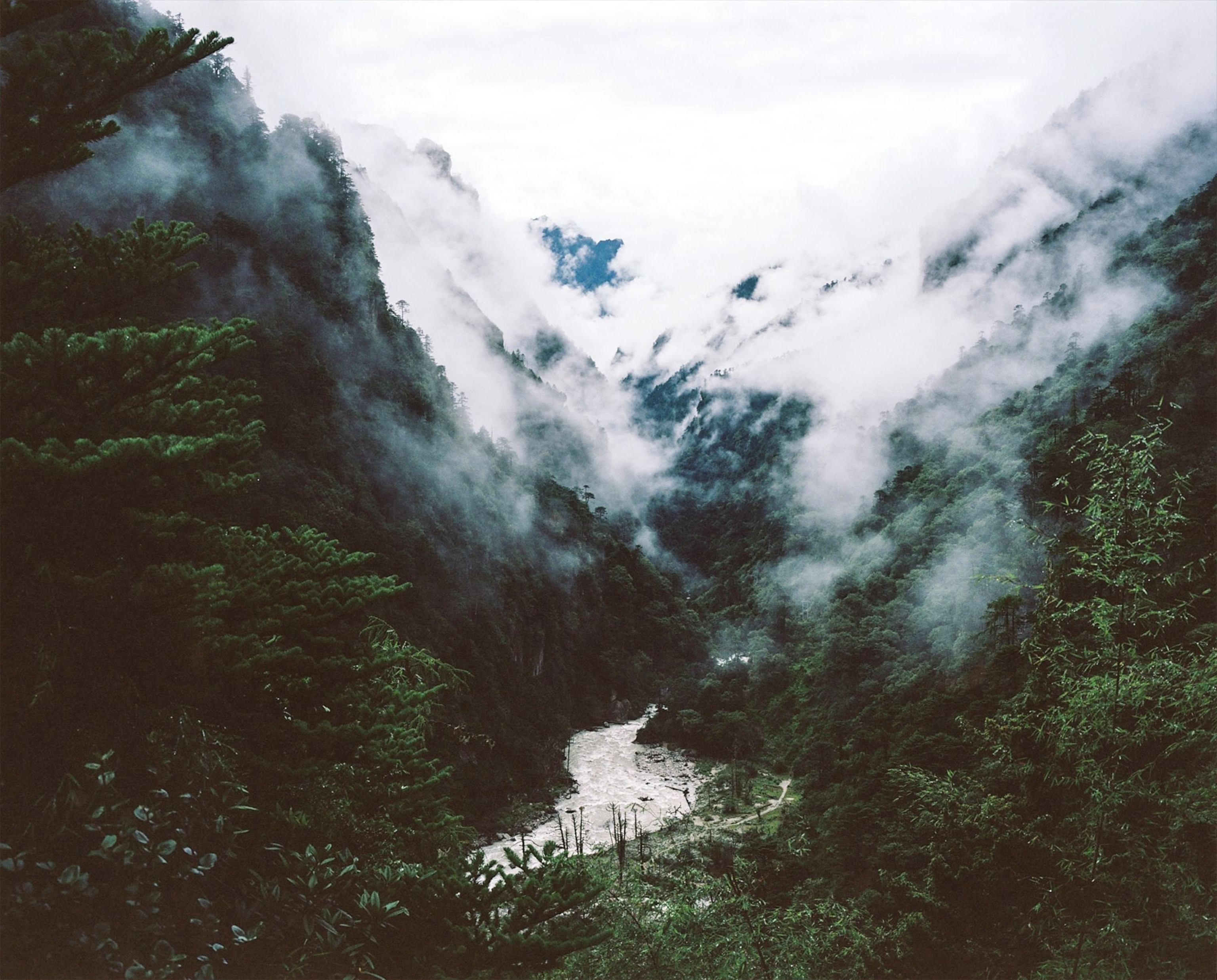 the mountains of Bhutan
